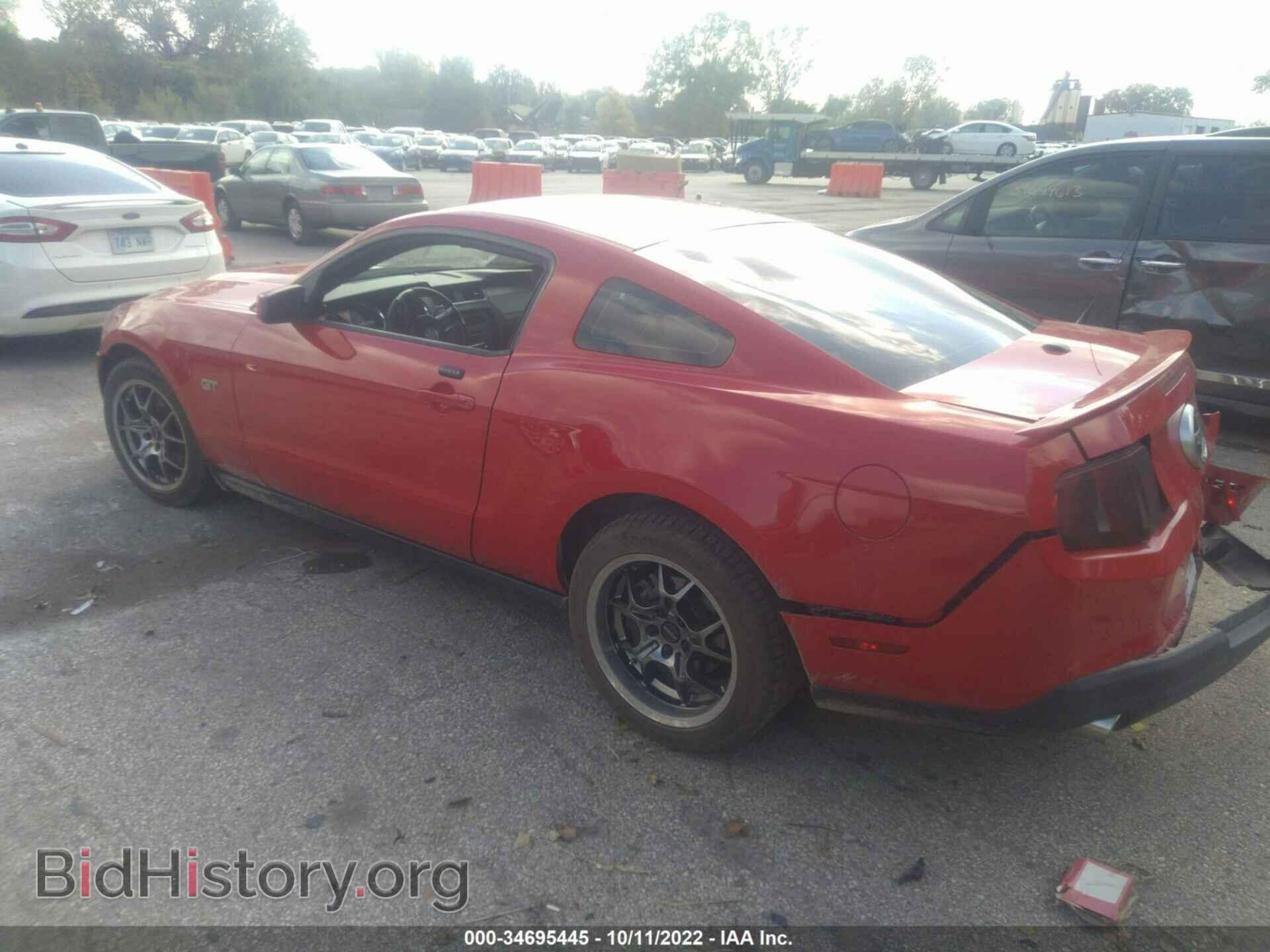2010 FORD MUSTANG - VIN: 1ZVBP8CH6A5164228 - Фото 3