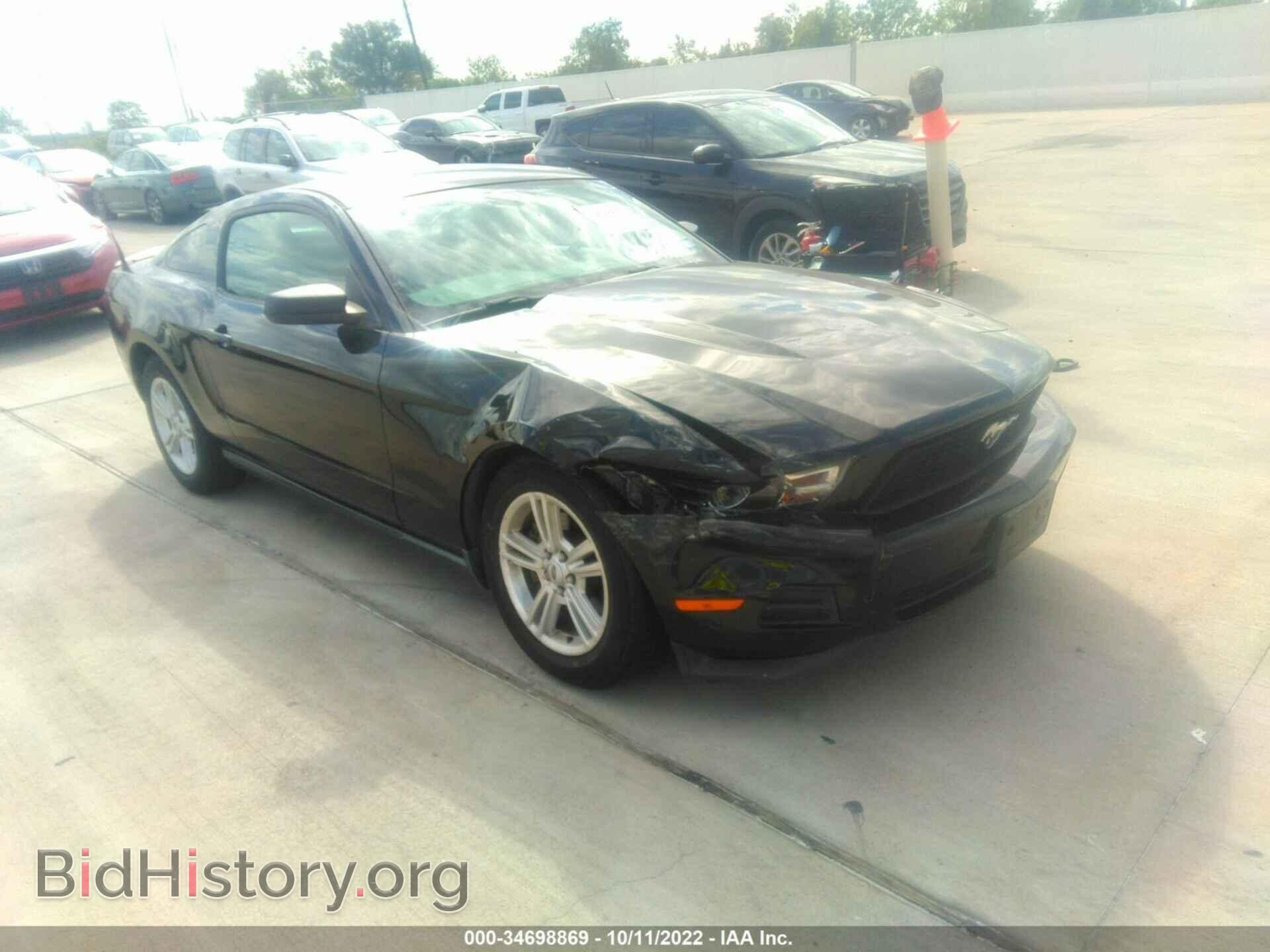 Фотография 1ZVBP8AM2C5258013 - FORD MUSTANG 2012