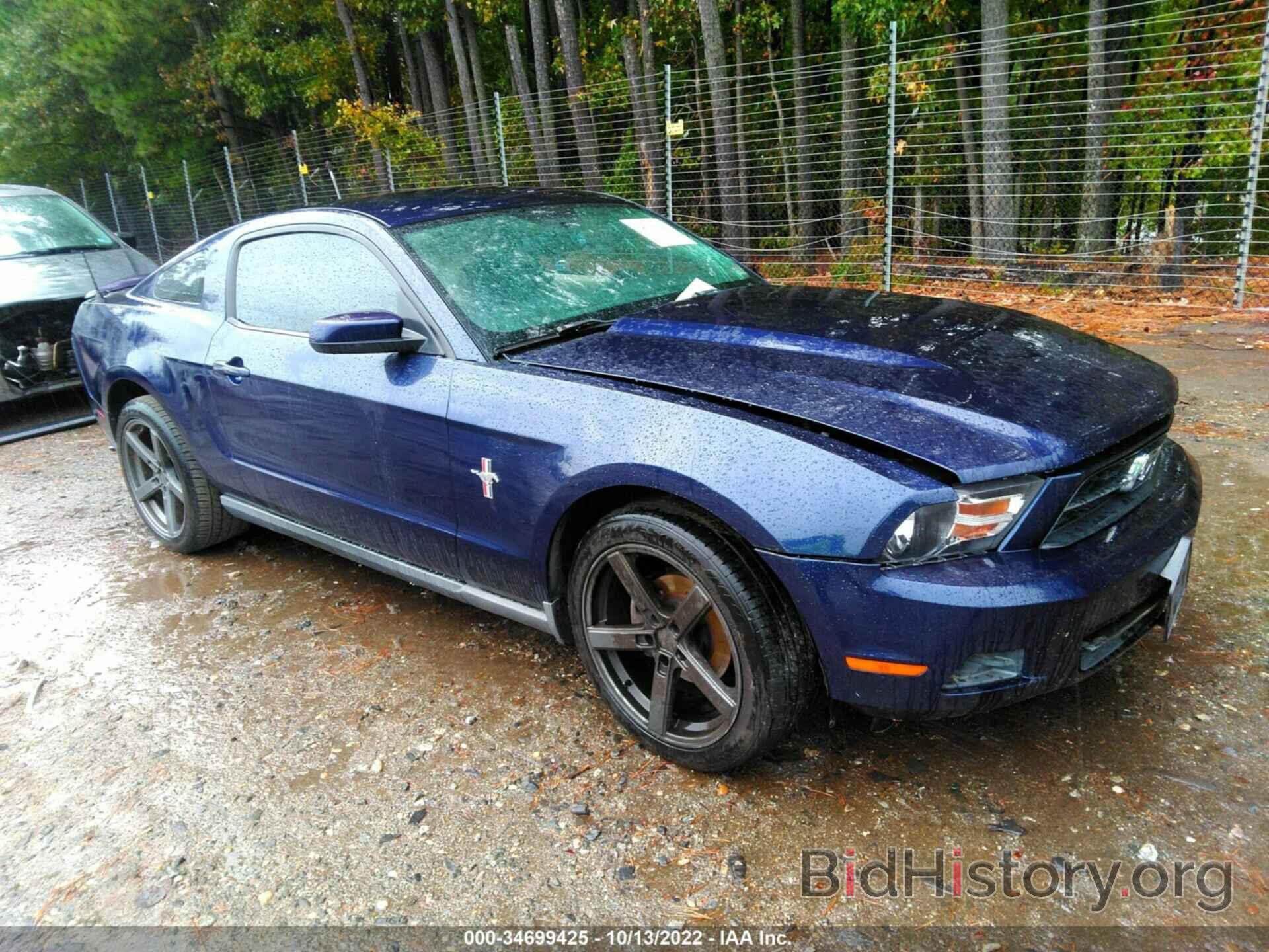 Photo 1ZVBP8AN5A5132427 - FORD MUSTANG 2010