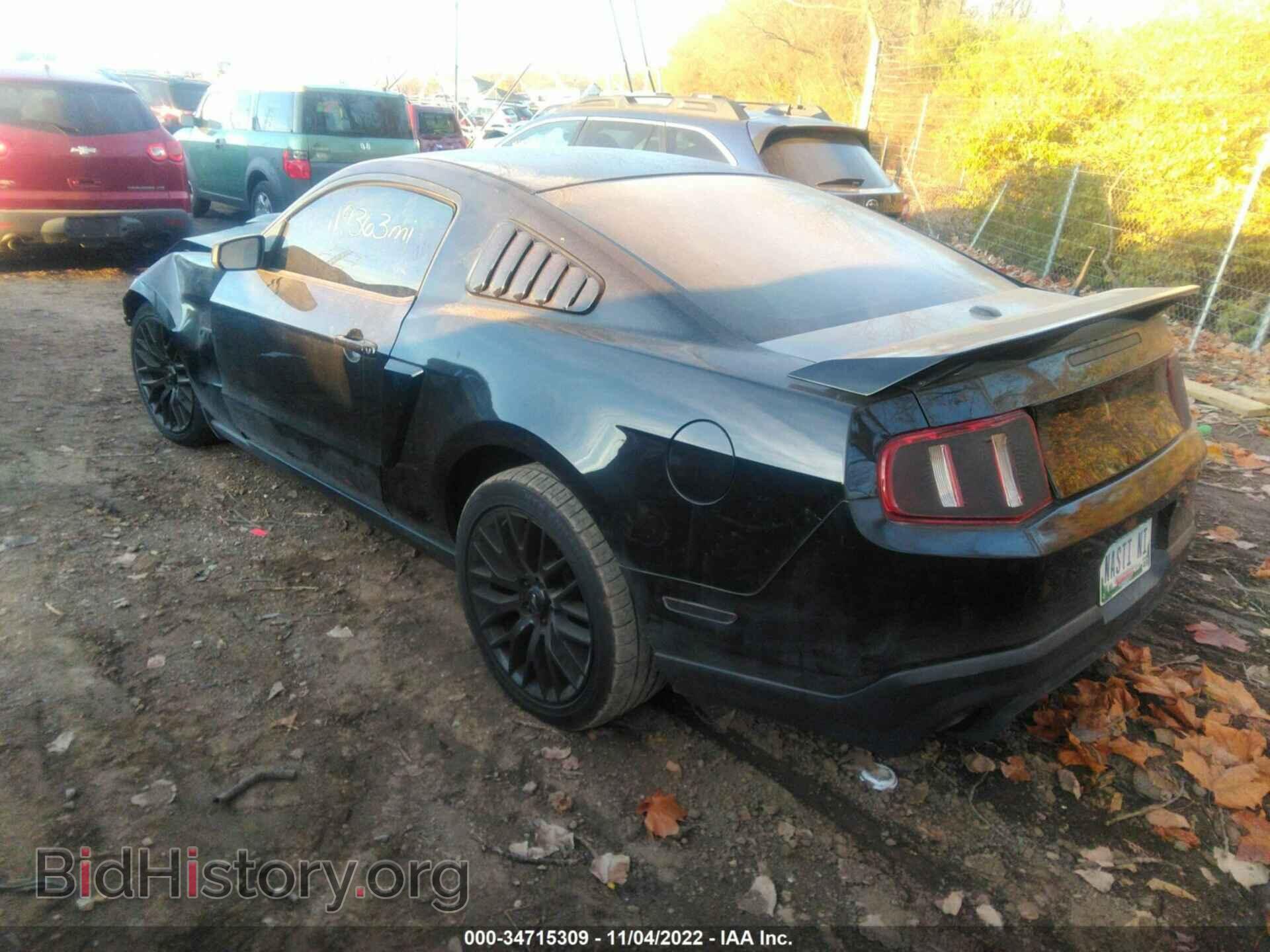 2010 FORD MUSTANG - VIN: 1ZVBP8CH8A5158429 - Фото 3