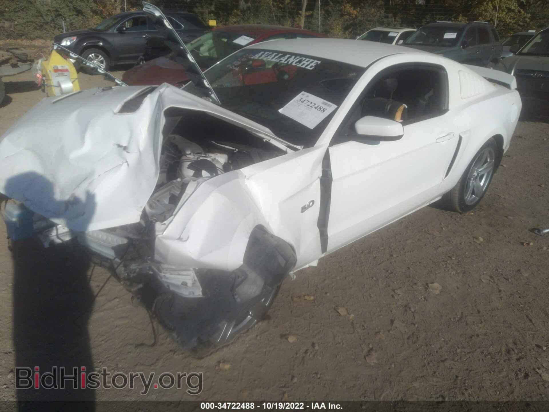 2013 FORD MUSTANG - VIN: 1ZVBP8CF6D5209056 - Фото 2