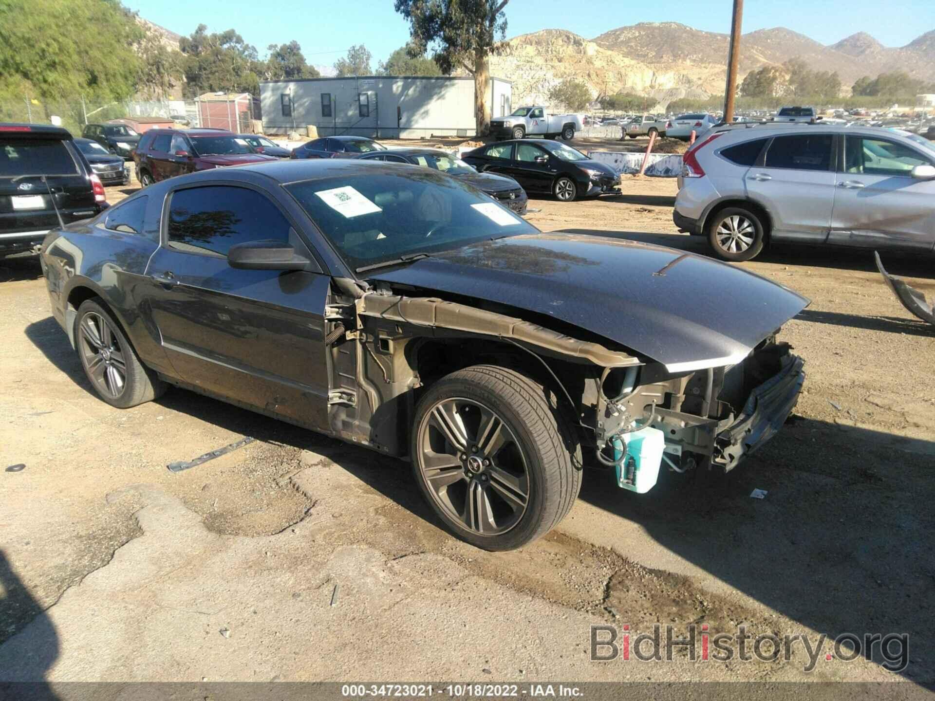 Photo 1ZVBP8AM2E5237732 - FORD MUSTANG 2014