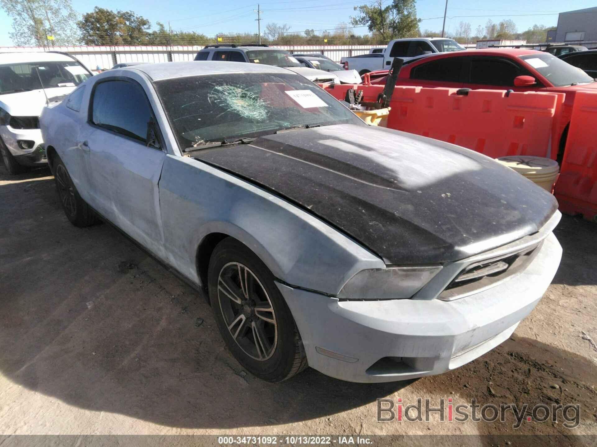Photo 1ZVBP8AM8C5232709 - FORD MUSTANG 2012