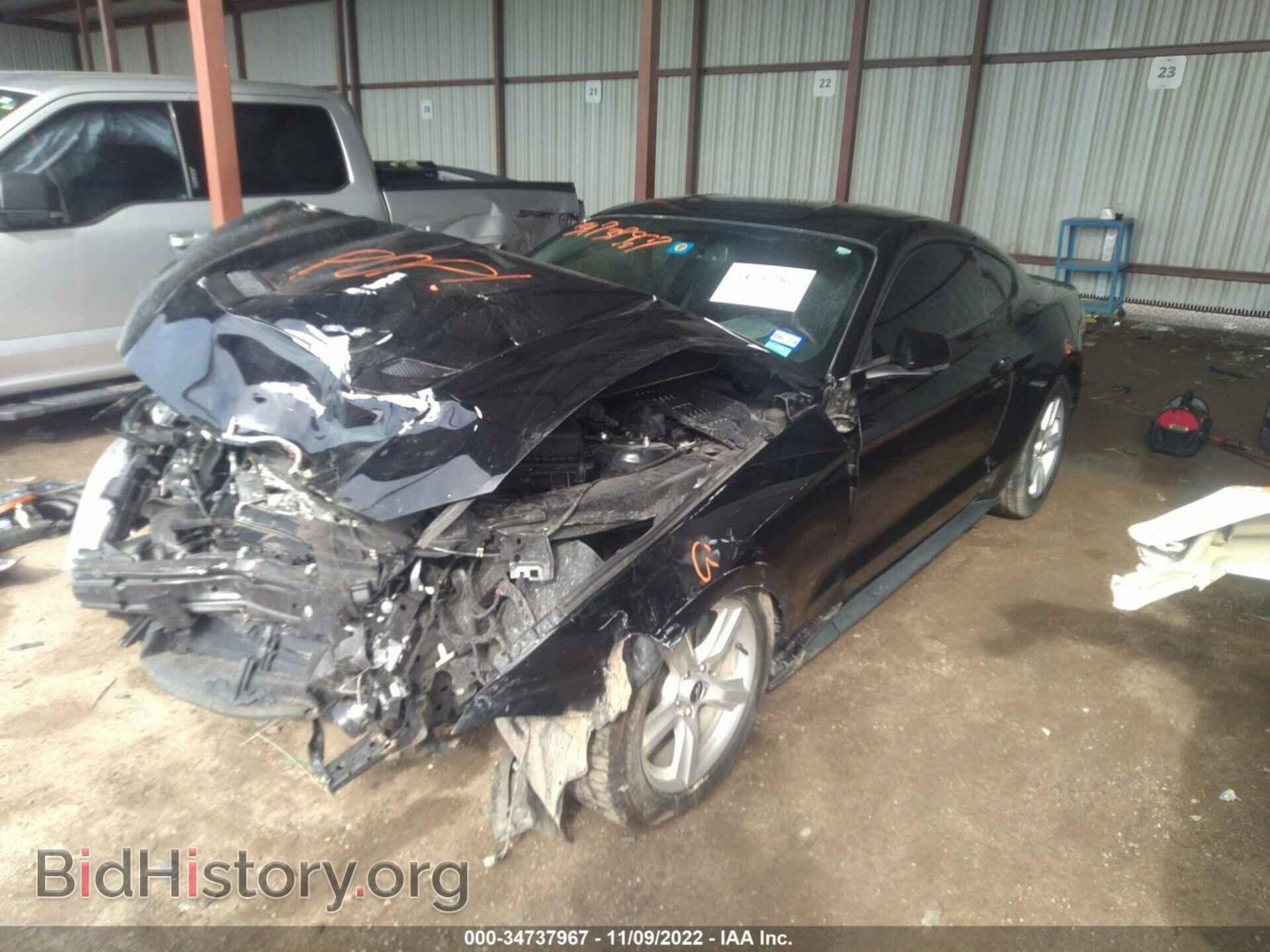 2019 FORD MUSTANG - VIN: 1FA6P8TH1K5133996 - Фото 2