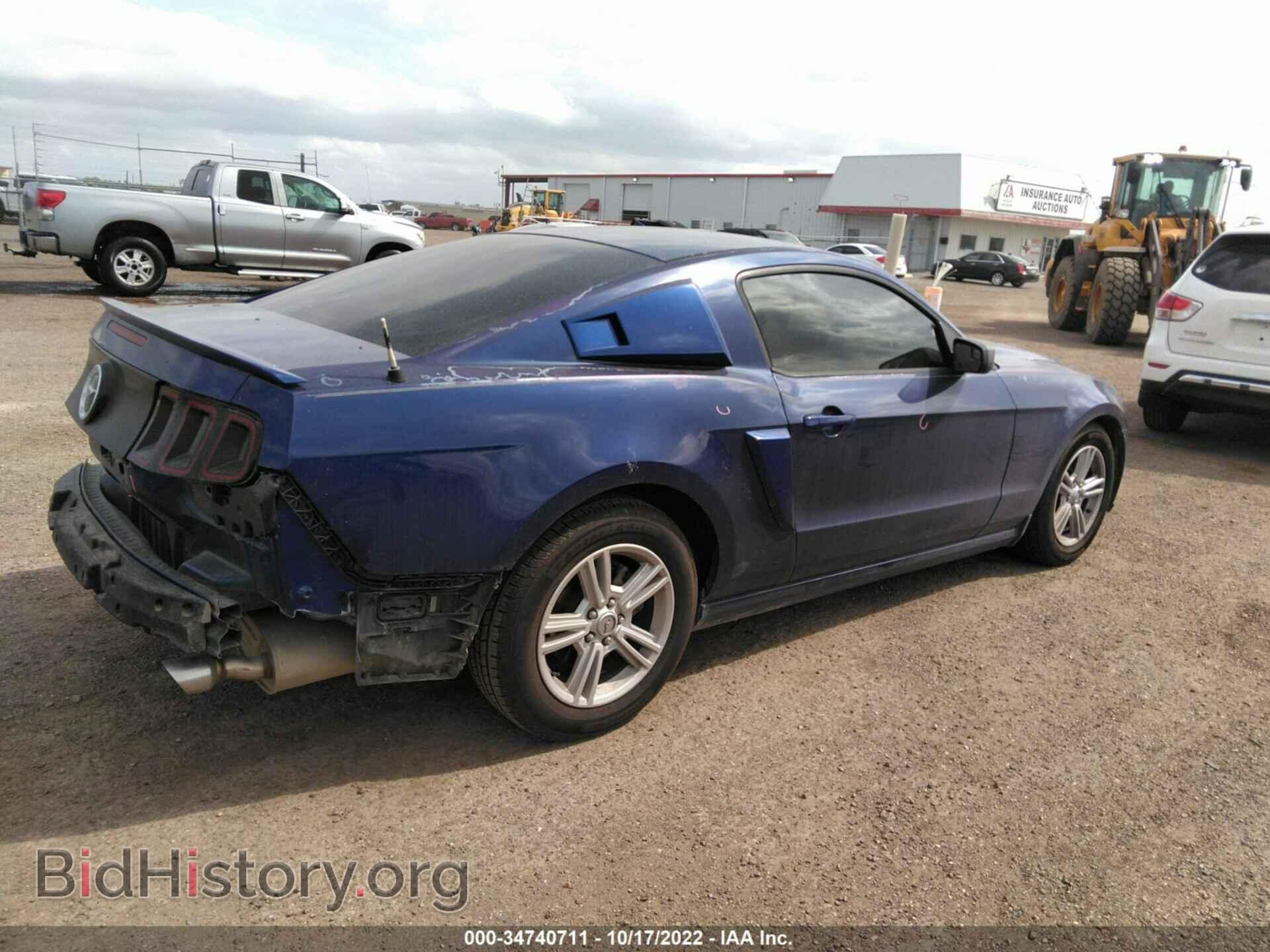 2013 FORD MUSTANG - VIN: 1ZVBP8AM4D5275073 - Фото 4