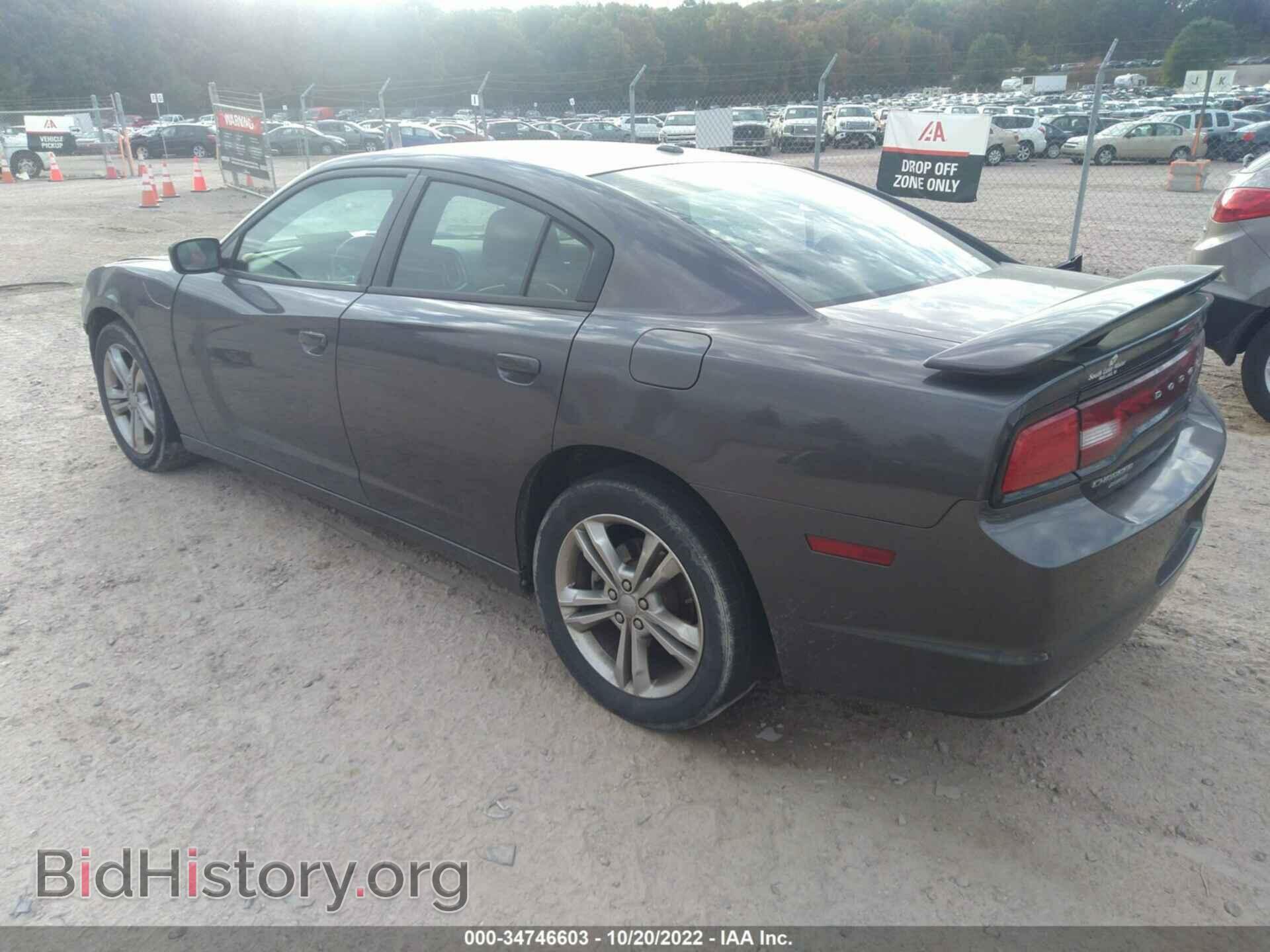 2013 DODGE CHARGER - VIN: 2C3CDXJG8DH601992 - Фото 3