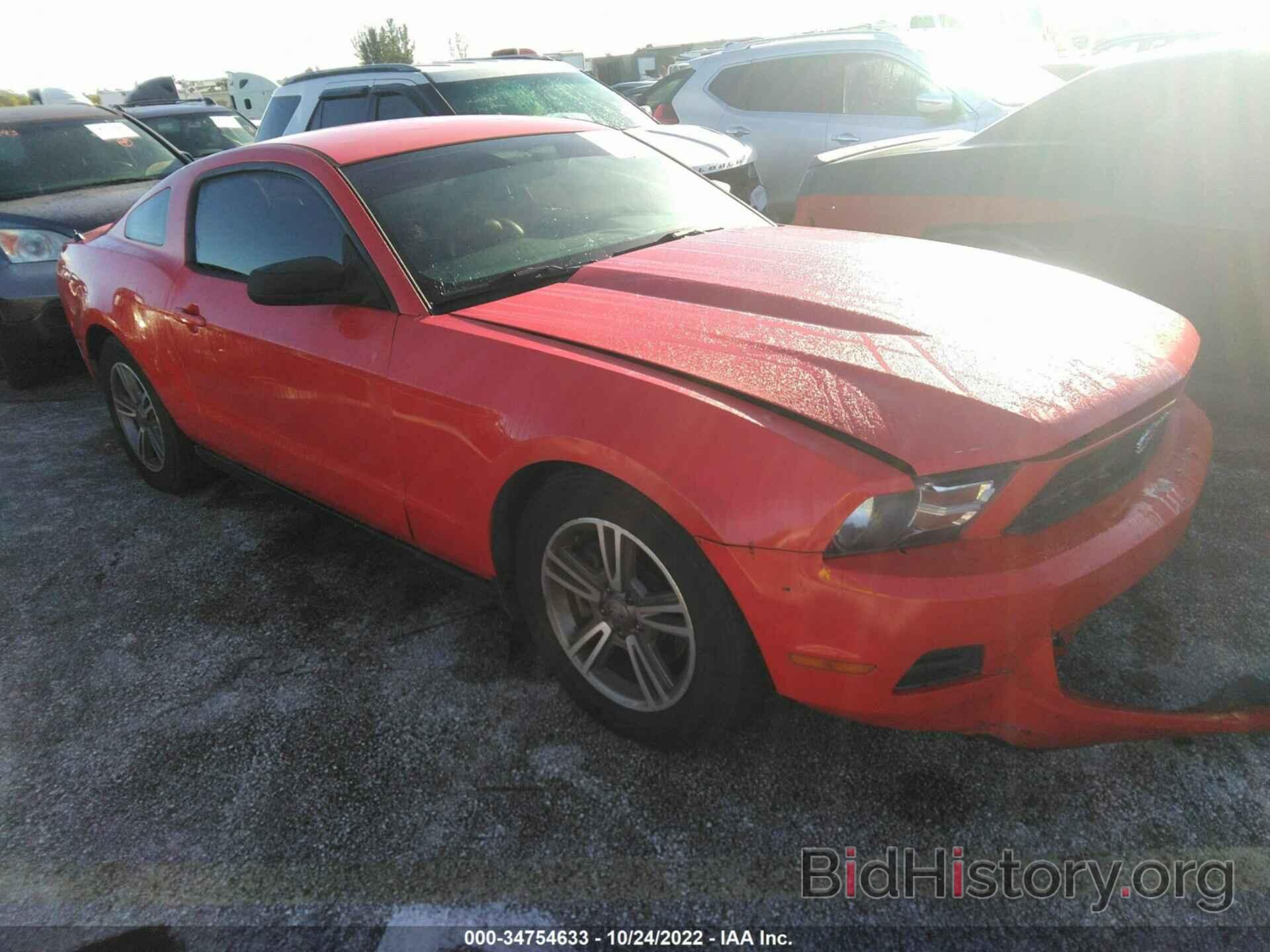 Photo 1ZVBP8AM9B5166573 - FORD MUSTANG 2011