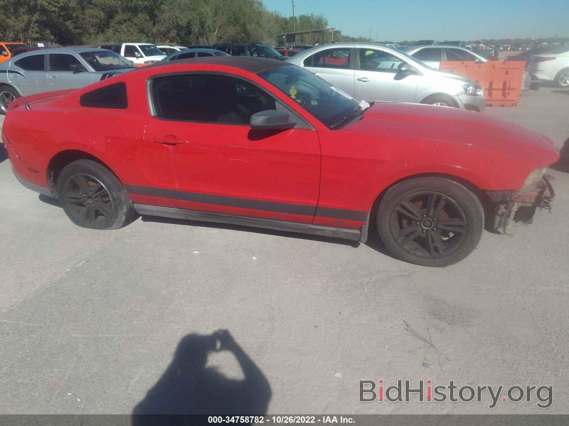 Photo 1ZVBP8AN0A5148308 - FORD MUSTANG 2010