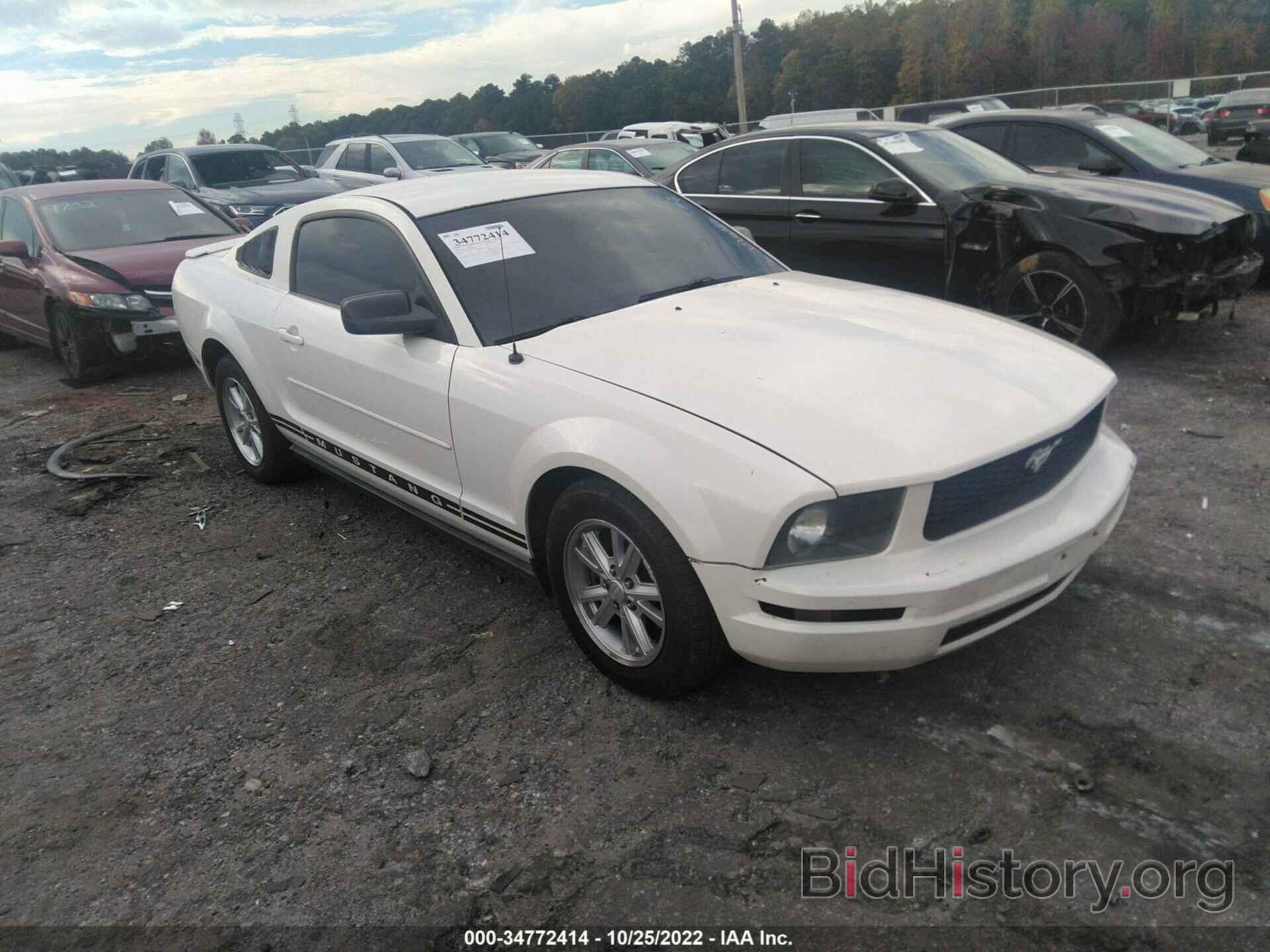 Photo 1ZVHT80N985196486 - FORD MUSTANG 2008