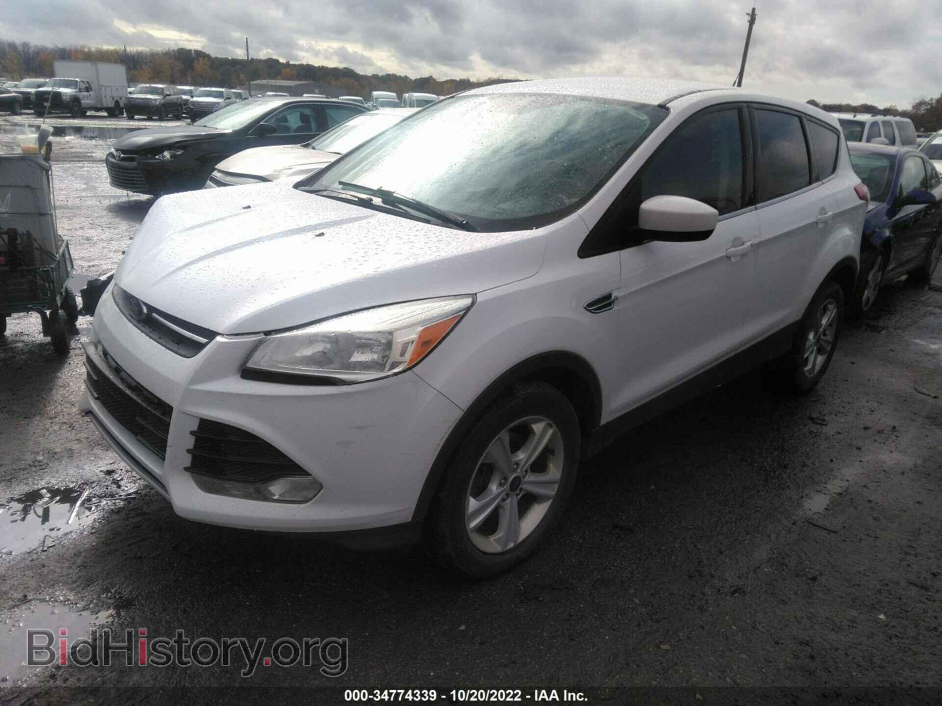 2014 FORD ESCAPE - VIN: 1FMCU0GX3EUB84303 - Фото 2