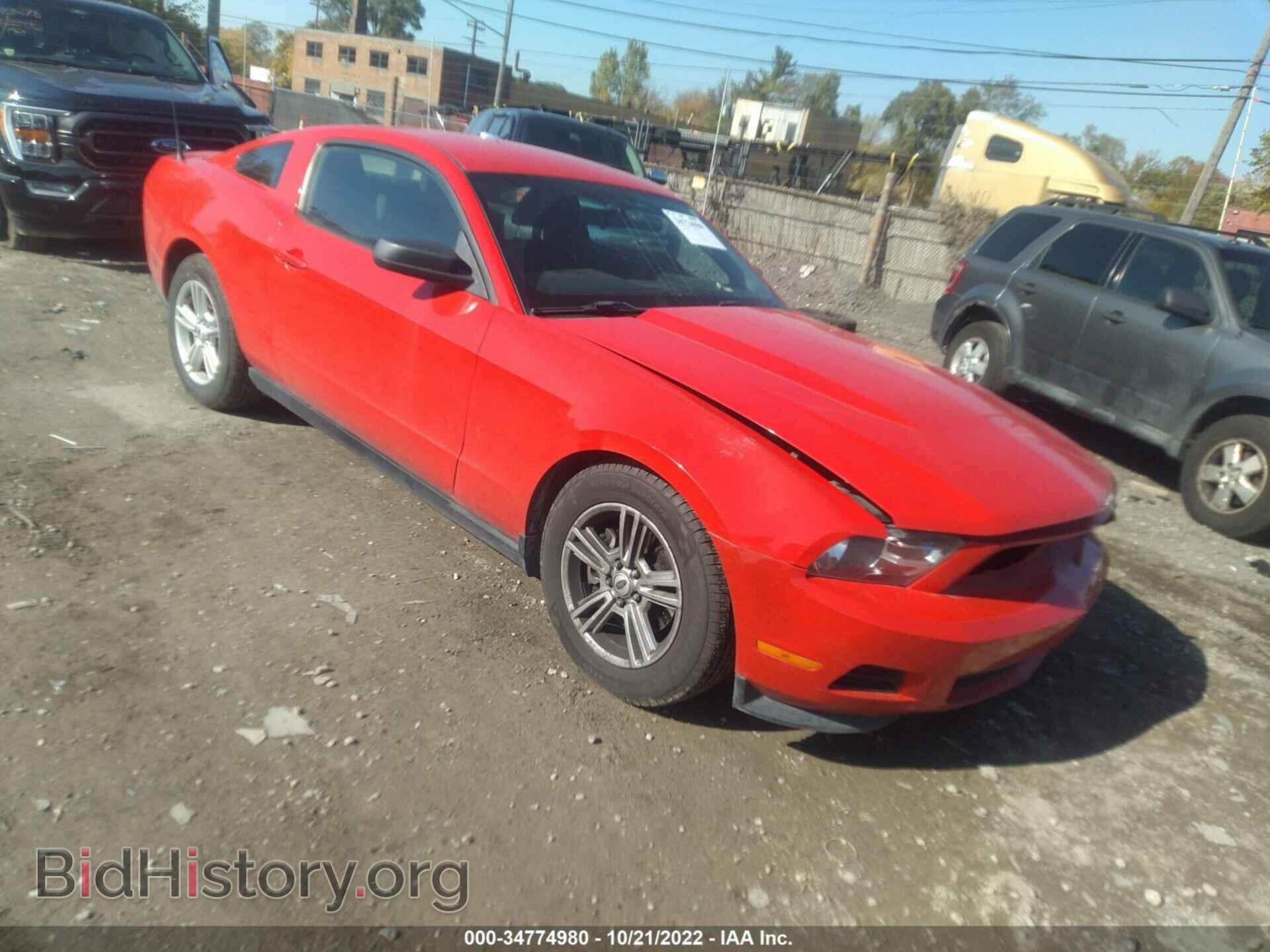 Фотография 1ZVBP8AM5B5165047 - FORD MUSTANG 2011