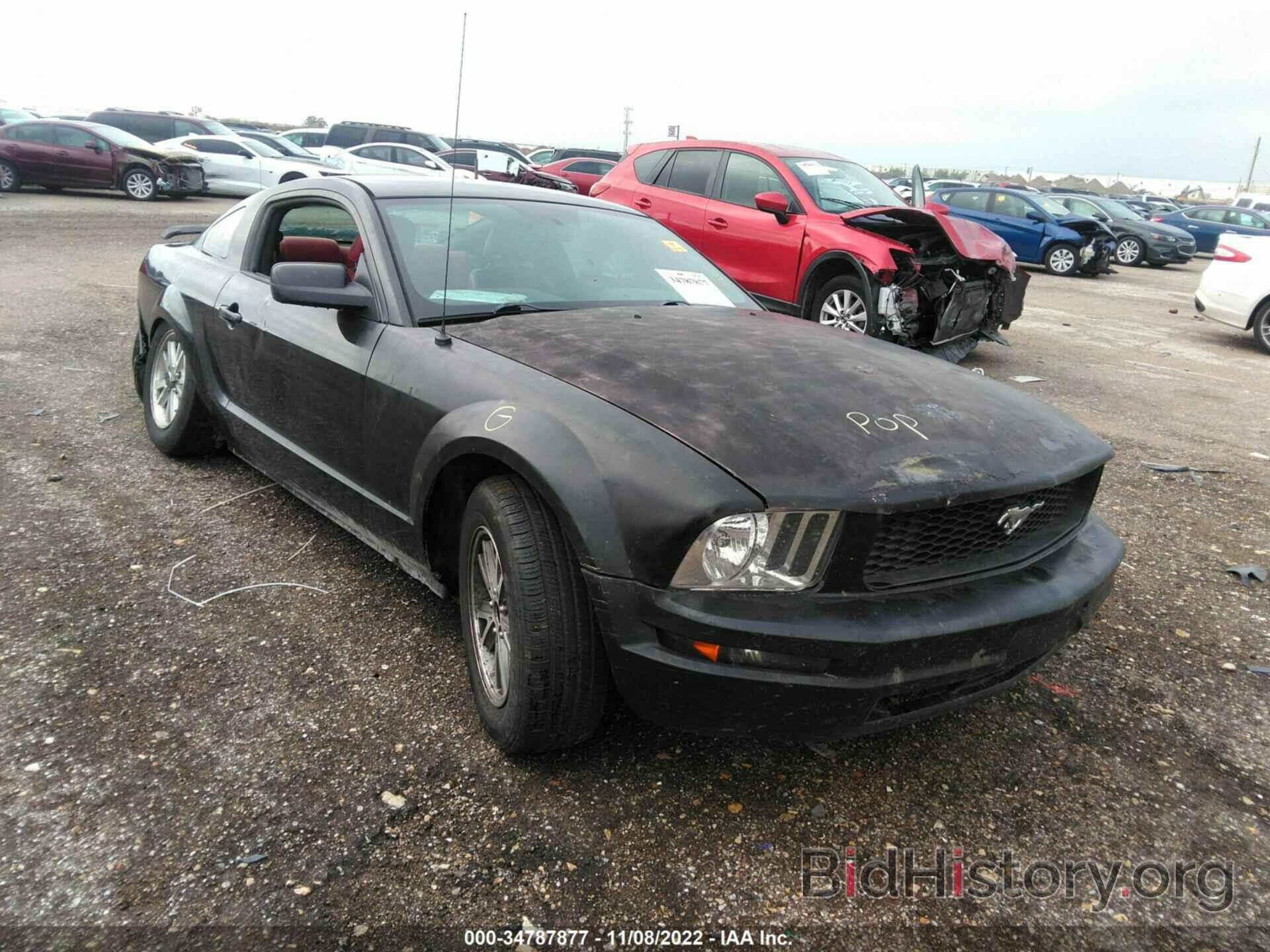 Photo 1ZVFT80N365161334 - FORD MUSTANG 2006