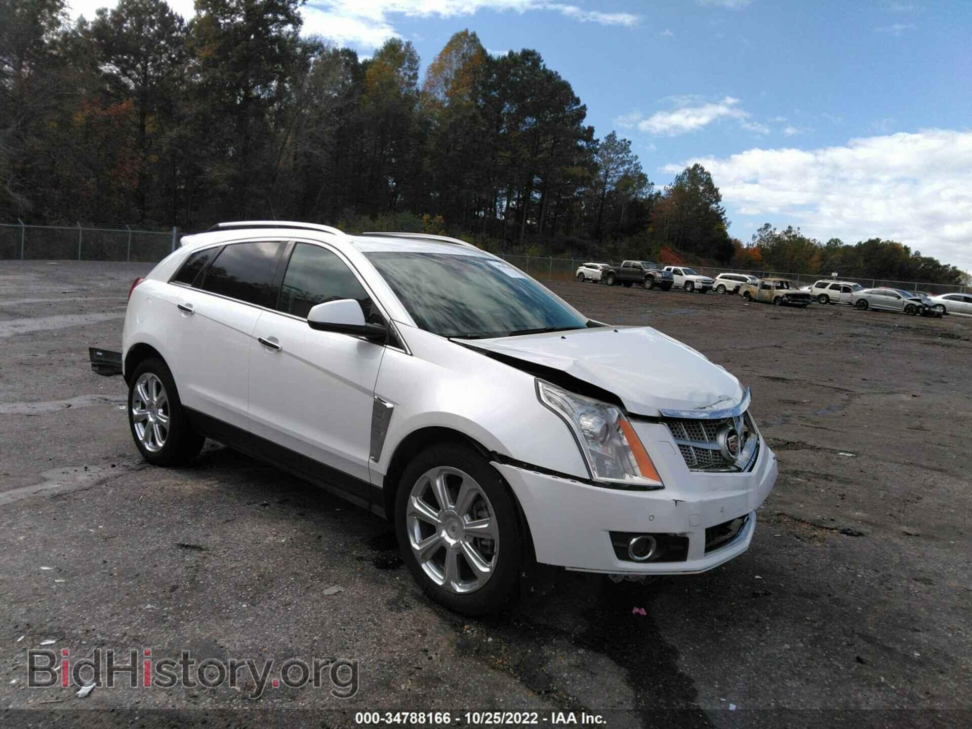 Photo 3GYFNEE33DS529009 - CADILLAC SRX 2013