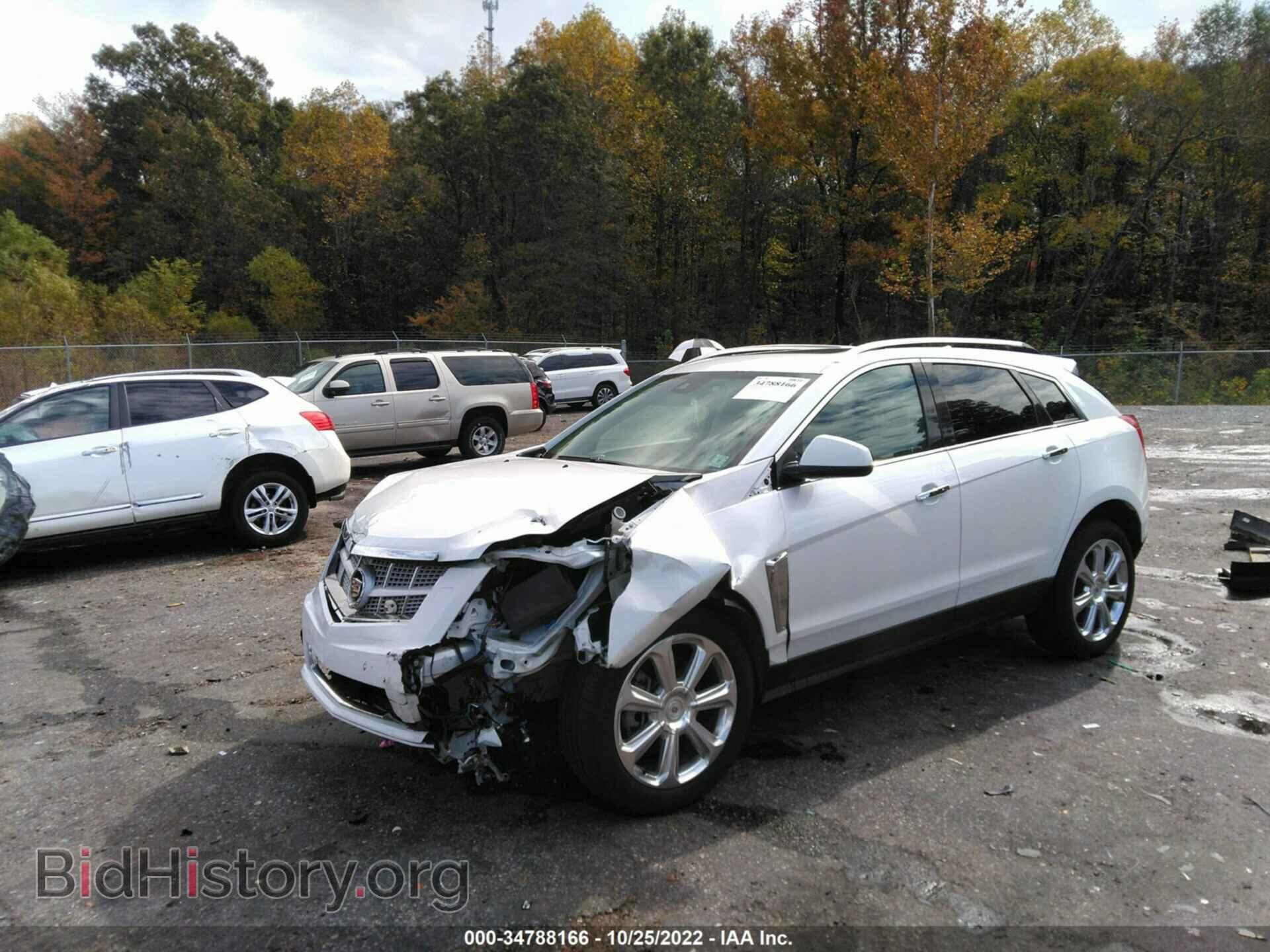 2013 CADILLAC SRX - VIN: 3GYFNEE33DS529009 - Фото 2