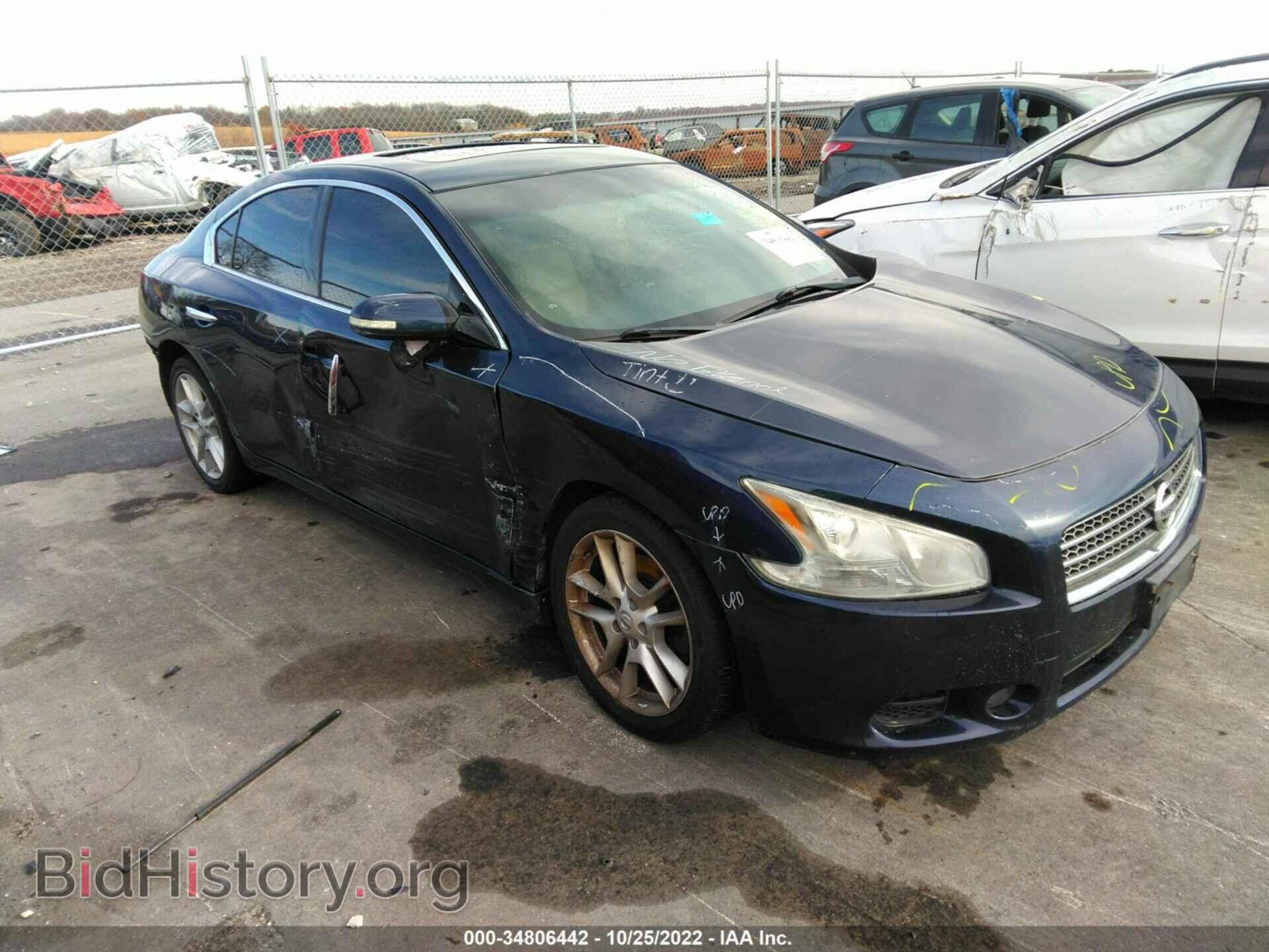 Фотография 1N4AA5AP2BC813003 - NISSAN MAXIMA 2011
