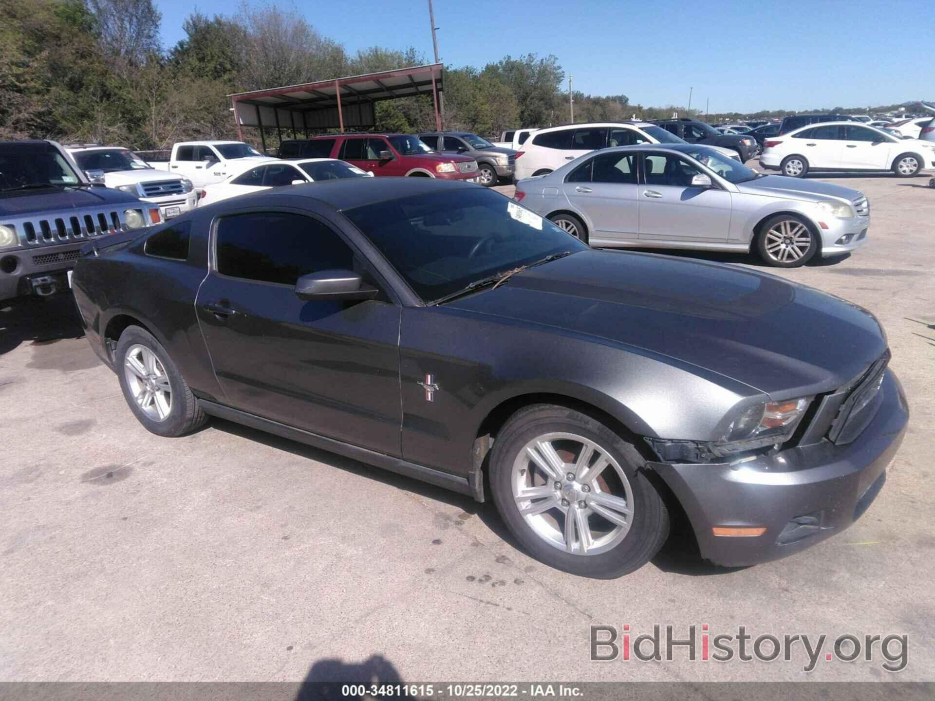 Photo 1ZVBP8AN5A5159661 - FORD MUSTANG 2010