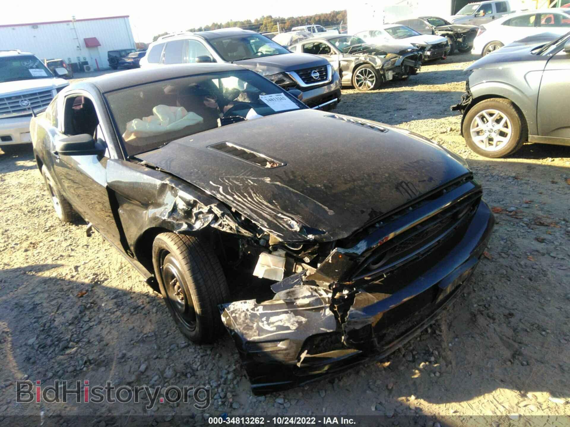 Фотография 1ZVBP8AM0D5274650 - FORD MUSTANG 2013