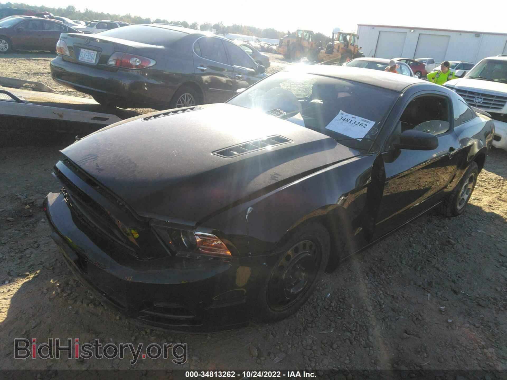 2013 FORD MUSTANG - VIN: 1ZVBP8AM0D5274650 - Фото 2