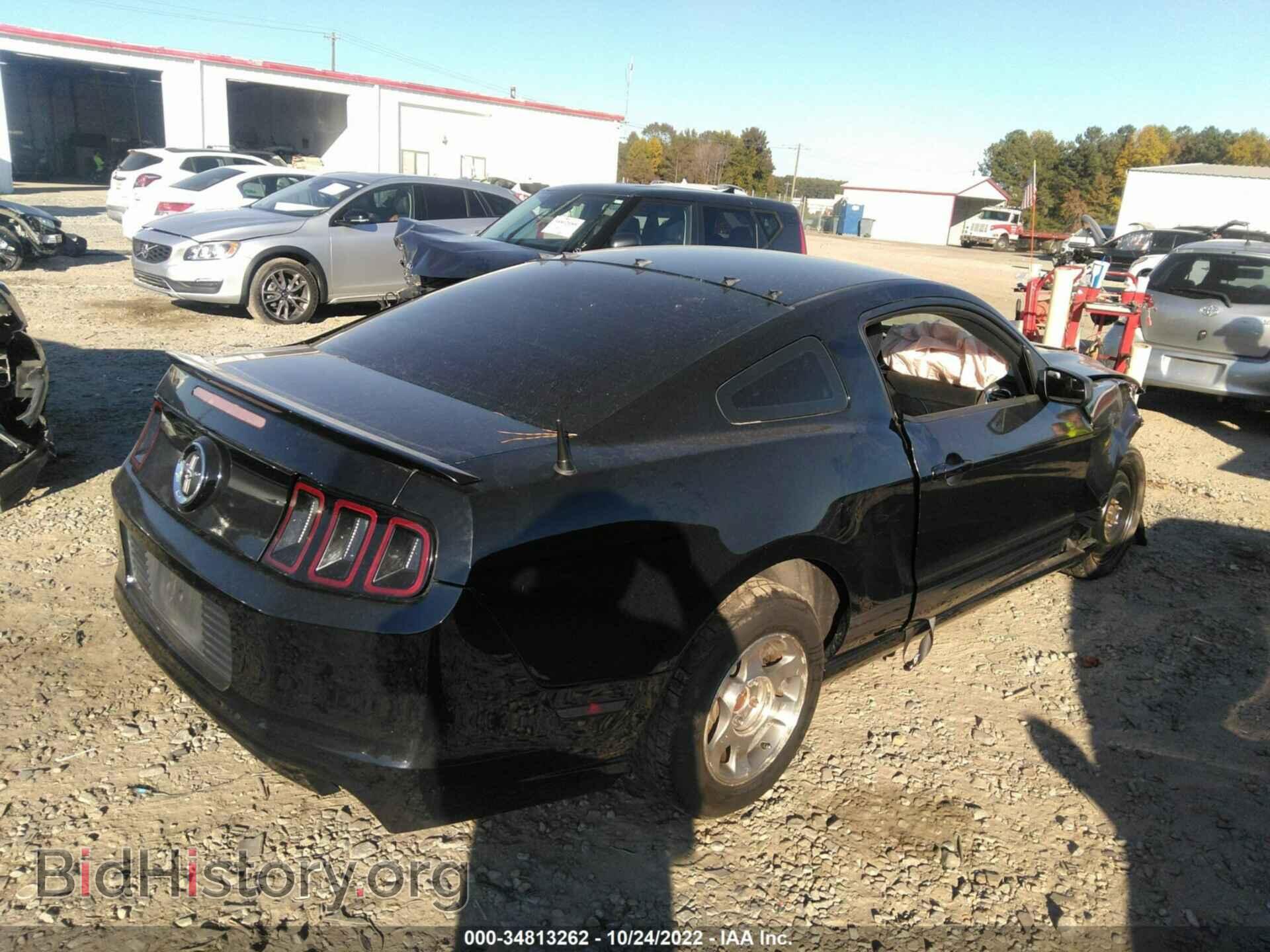 2013 FORD MUSTANG - VIN: 1ZVBP8AM0D5274650 - Фото 4