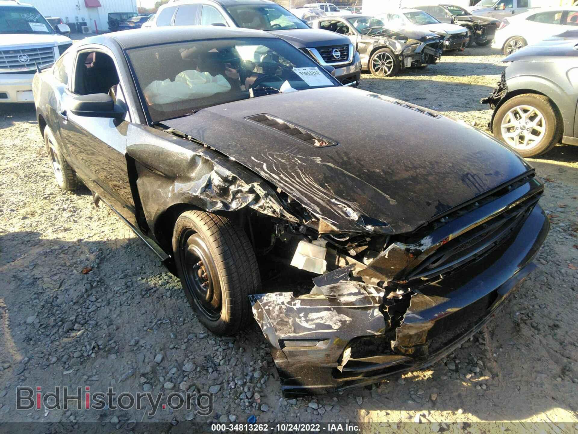2013 FORD MUSTANG - VIN: 1ZVBP8AM0D5274650 - Фото 6