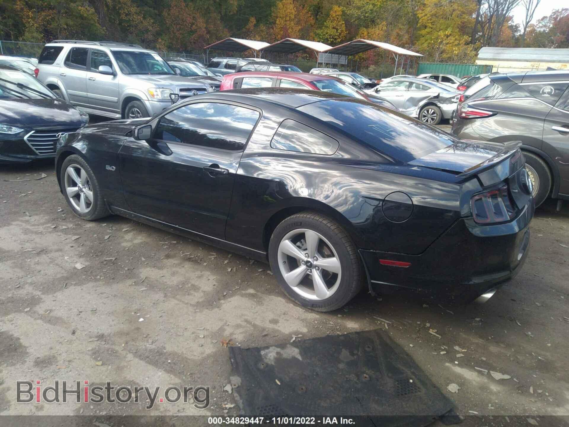 2014 FORD MUSTANG - VIN: 1ZVBP8CF8E5233196 - Фото 3