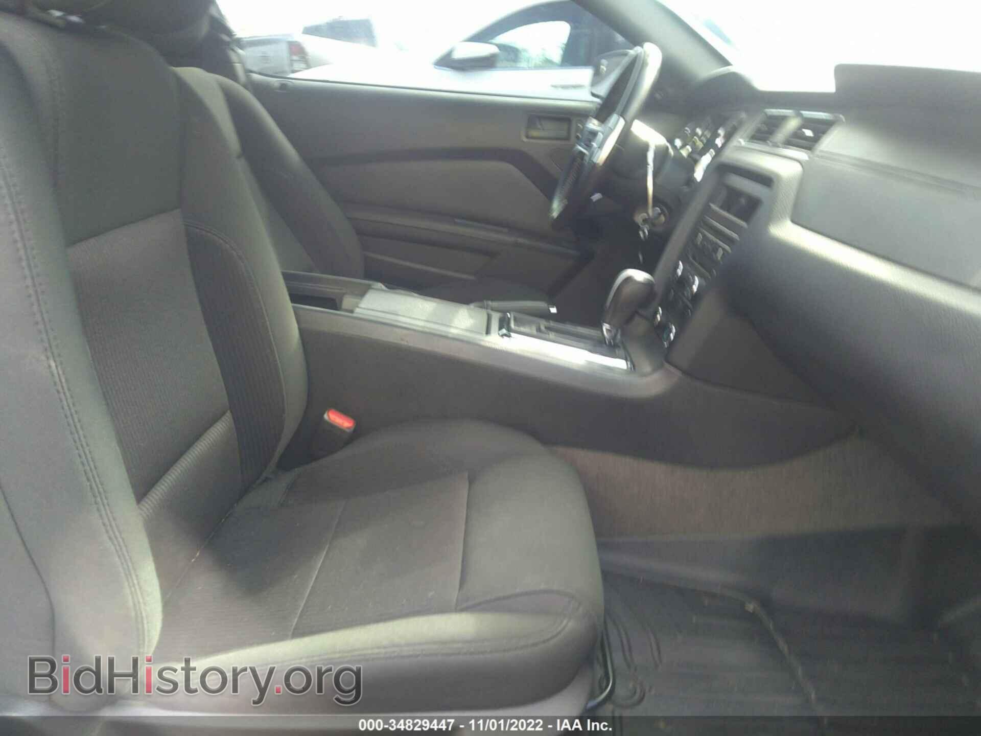 2014 FORD MUSTANG - VIN: 1ZVBP8CF8E5233196 - Фото 5