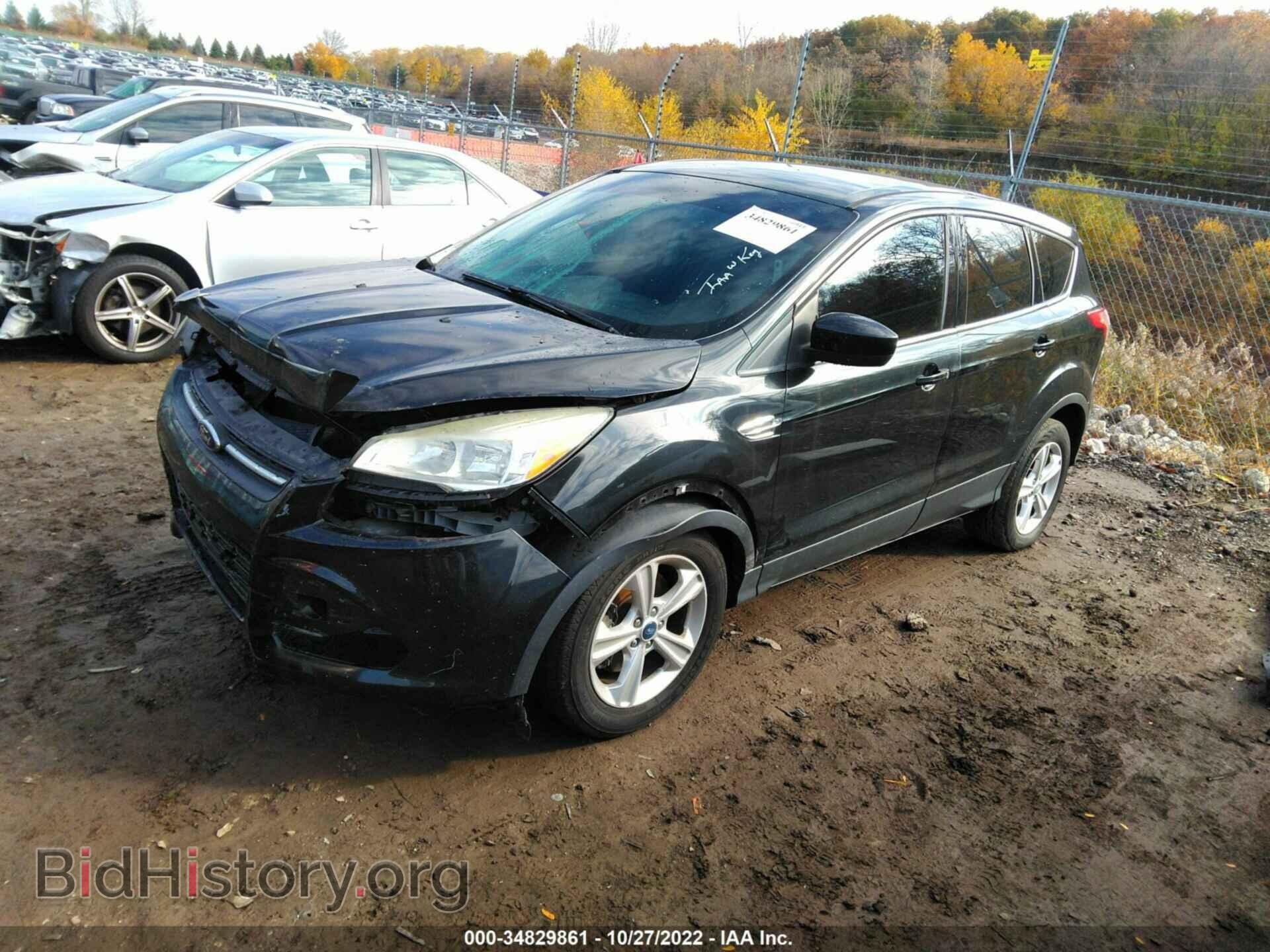 2013 FORD ESCAPE - VIN: 1FMCU0G98DUB36750 - Фото 2