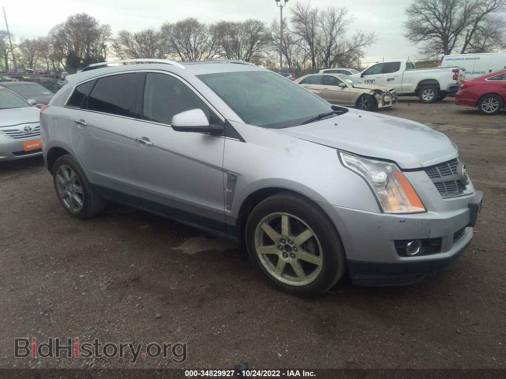 Фотография 3GYFNFEYXAS502290 - CADILLAC SRX 2010
