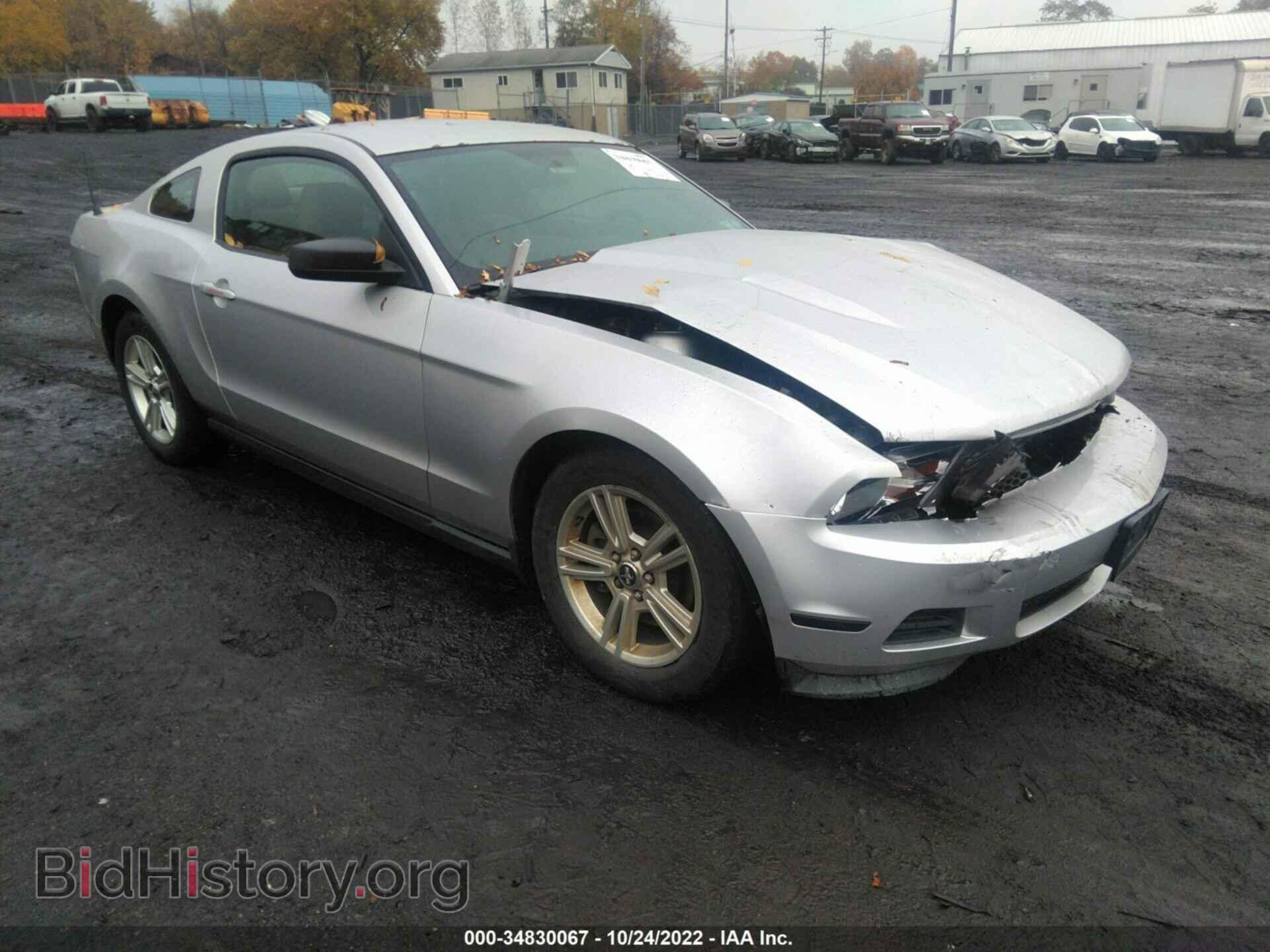 Фотография 1ZVBP8AM4C5245330 - FORD MUSTANG 2012