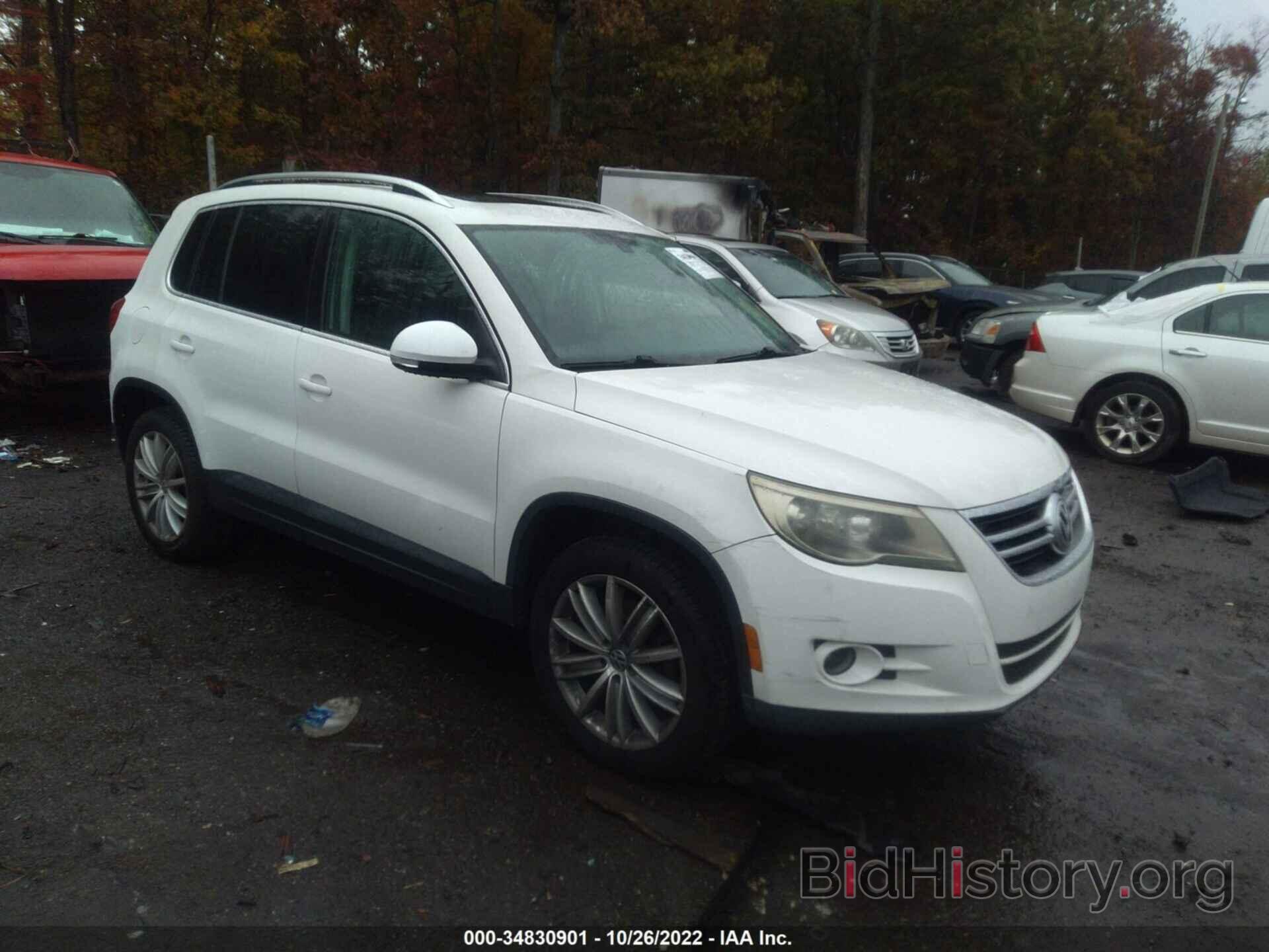 Photo WVGAV7AX5AW517086 - VOLKSWAGEN TIGUAN 2010