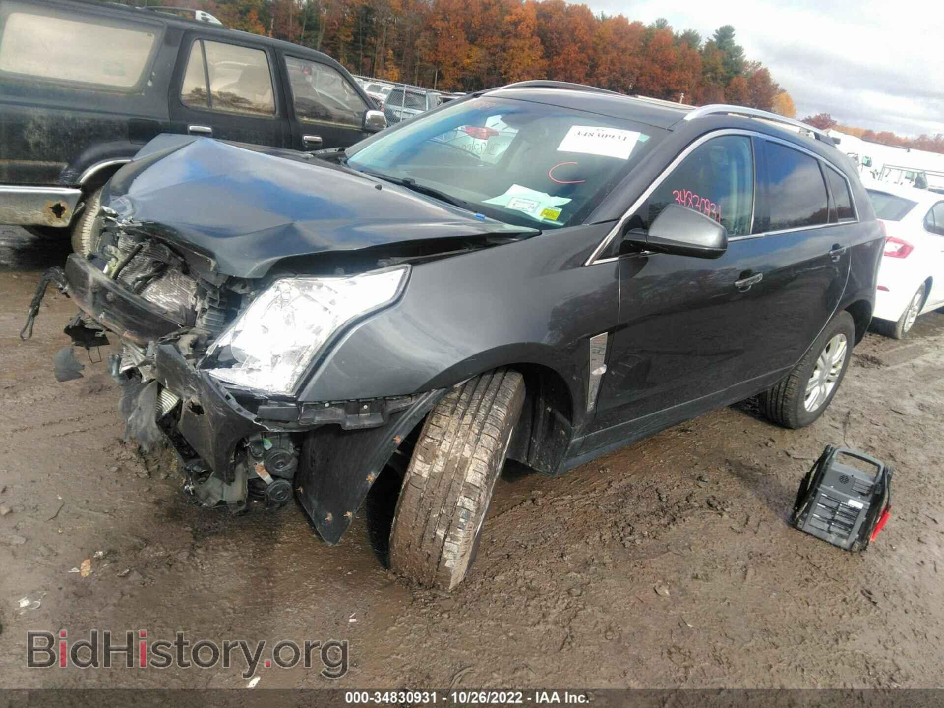 2011 CADILLAC SRX - VIN: 3GYFNDEY2BS618976 - Фото 2