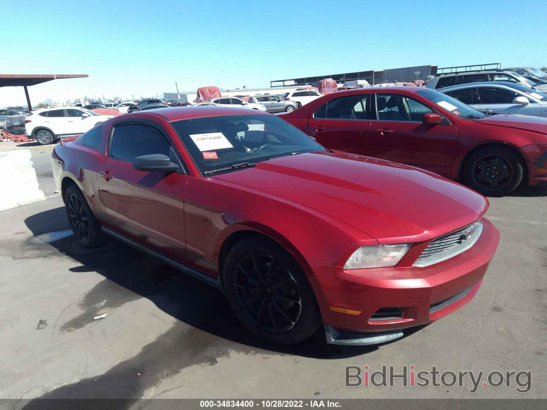 Photo 1ZVBP8AMXB5126051 - FORD MUSTANG 2011