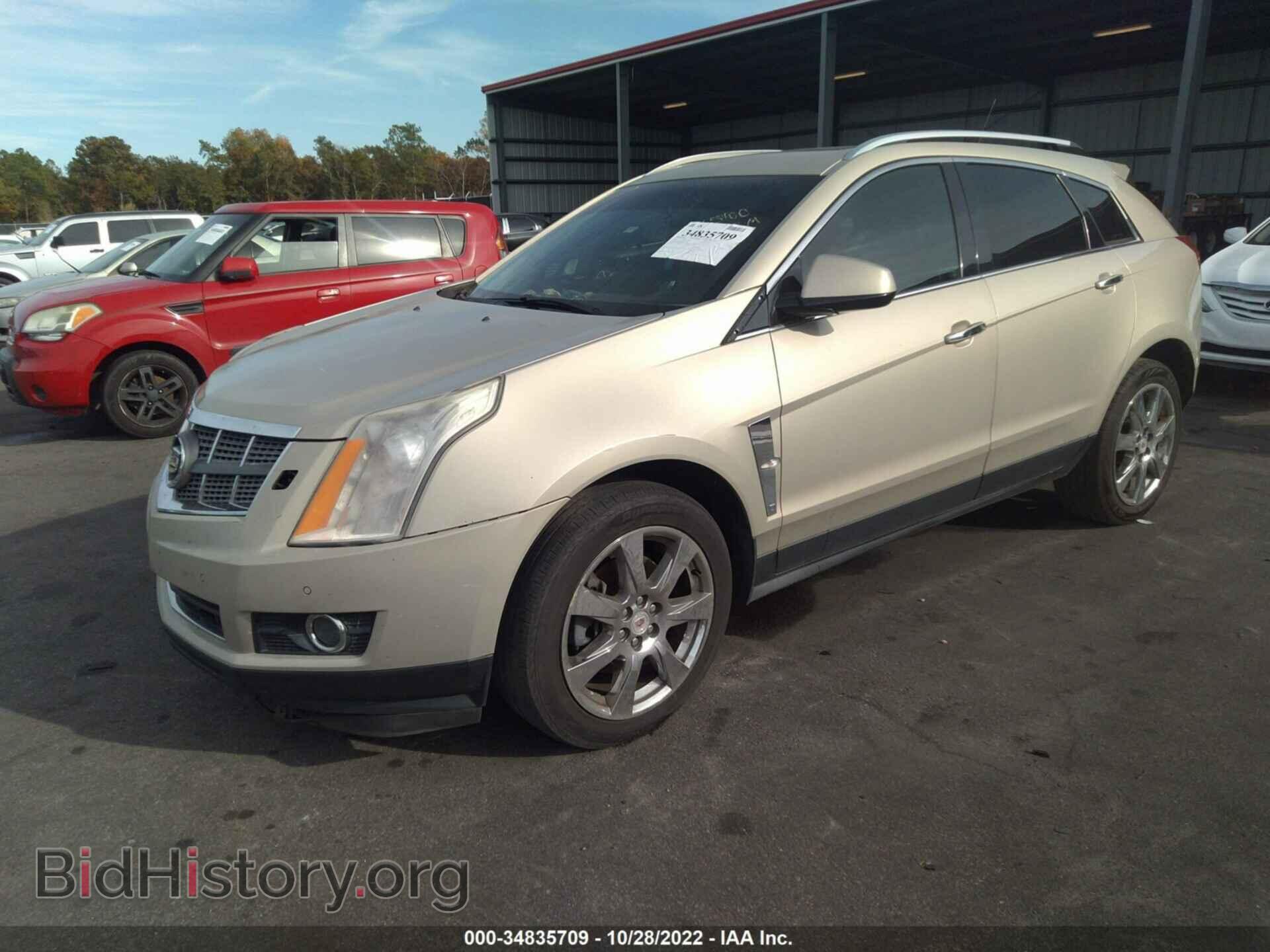 2010 CADILLAC SRX - VIN: 3GYFNBEY8AS565400 - Фото 2