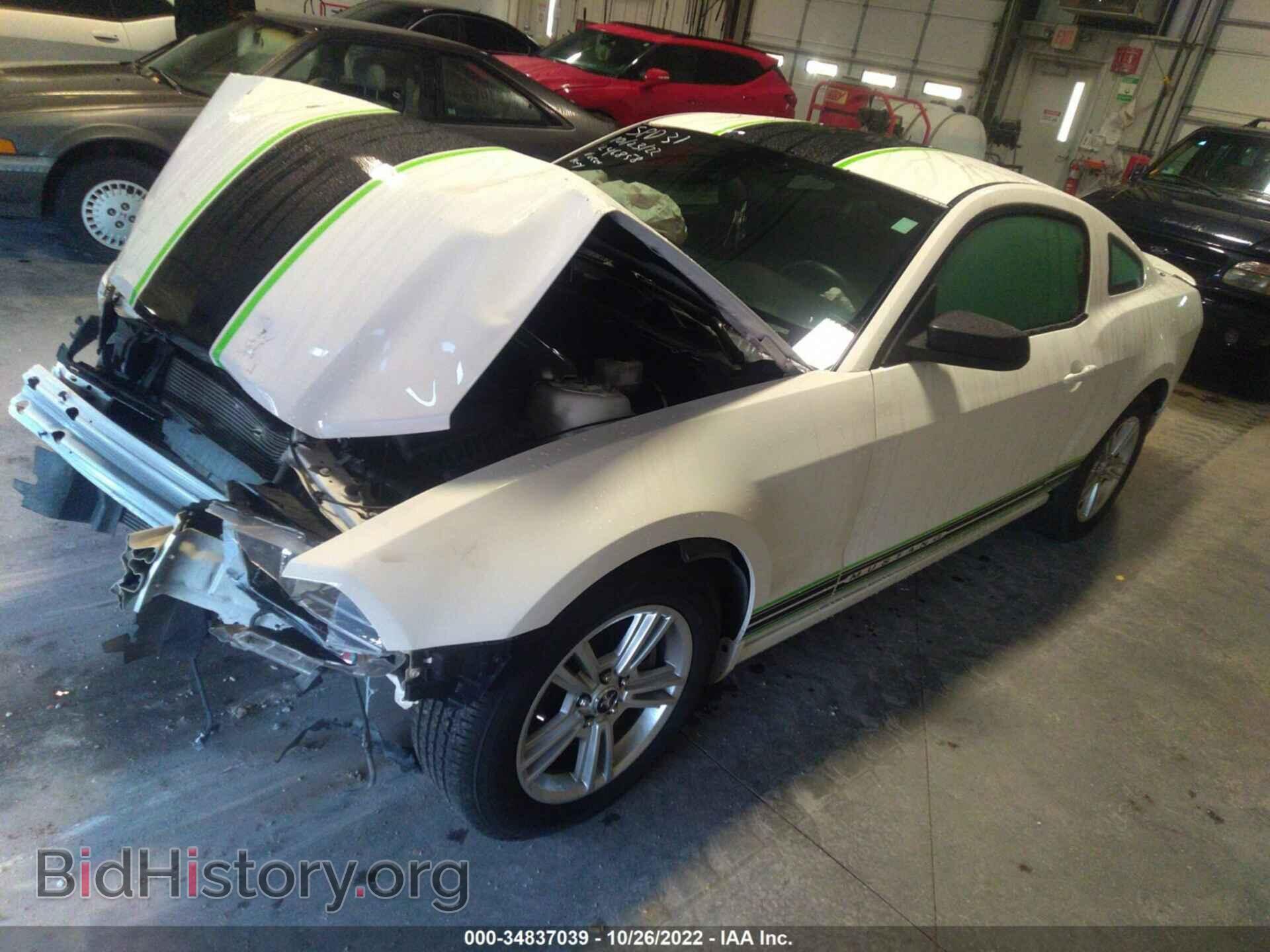 2013 FORD MUSTANG - VIN: 1ZVBP8AM9D5240500 - Фото 2