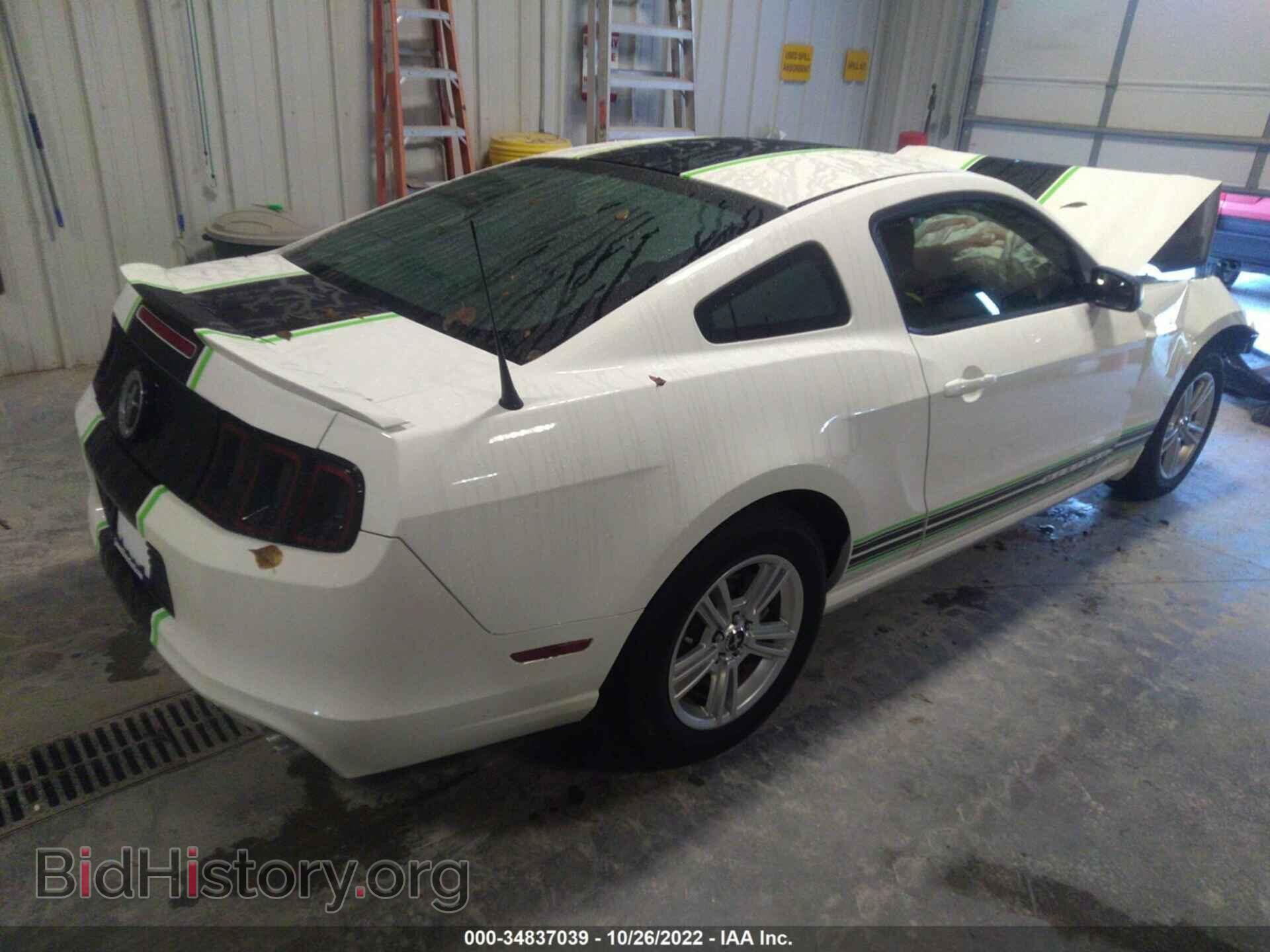 2013 FORD MUSTANG - VIN: 1ZVBP8AM9D5240500 - Фото 4