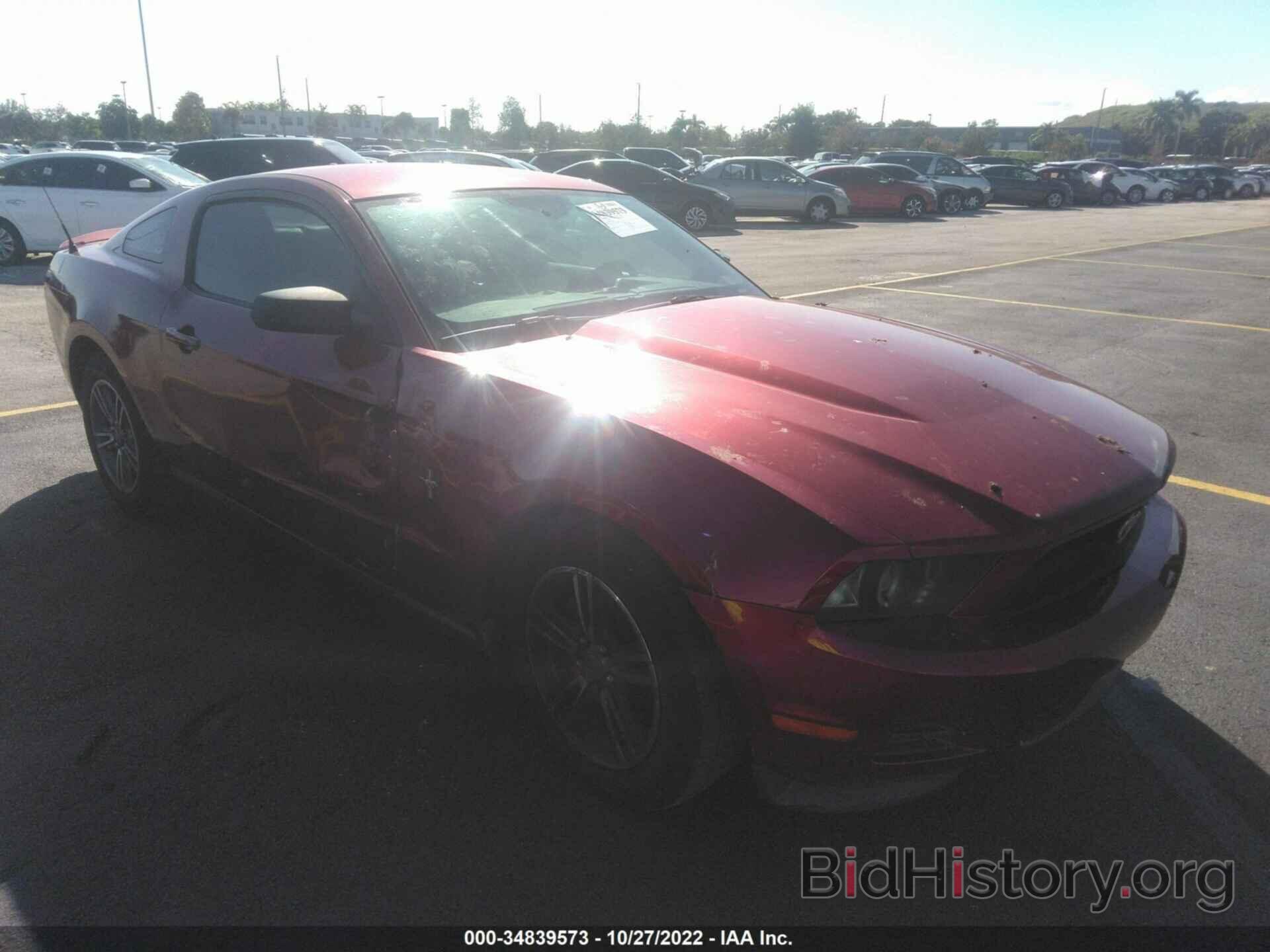 Photo 1ZVBP8AM6C5205556 - FORD MUSTANG 2012