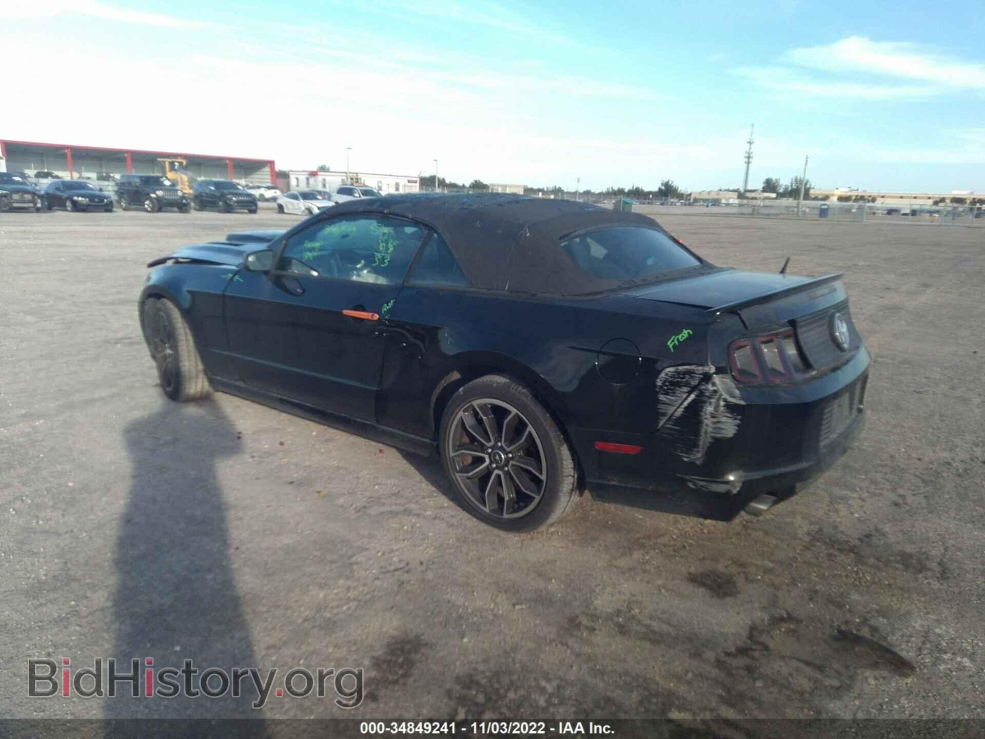 2013 FORD MUSTANG - VIN: 1ZVBP8EM0D5243733 - Фото 3