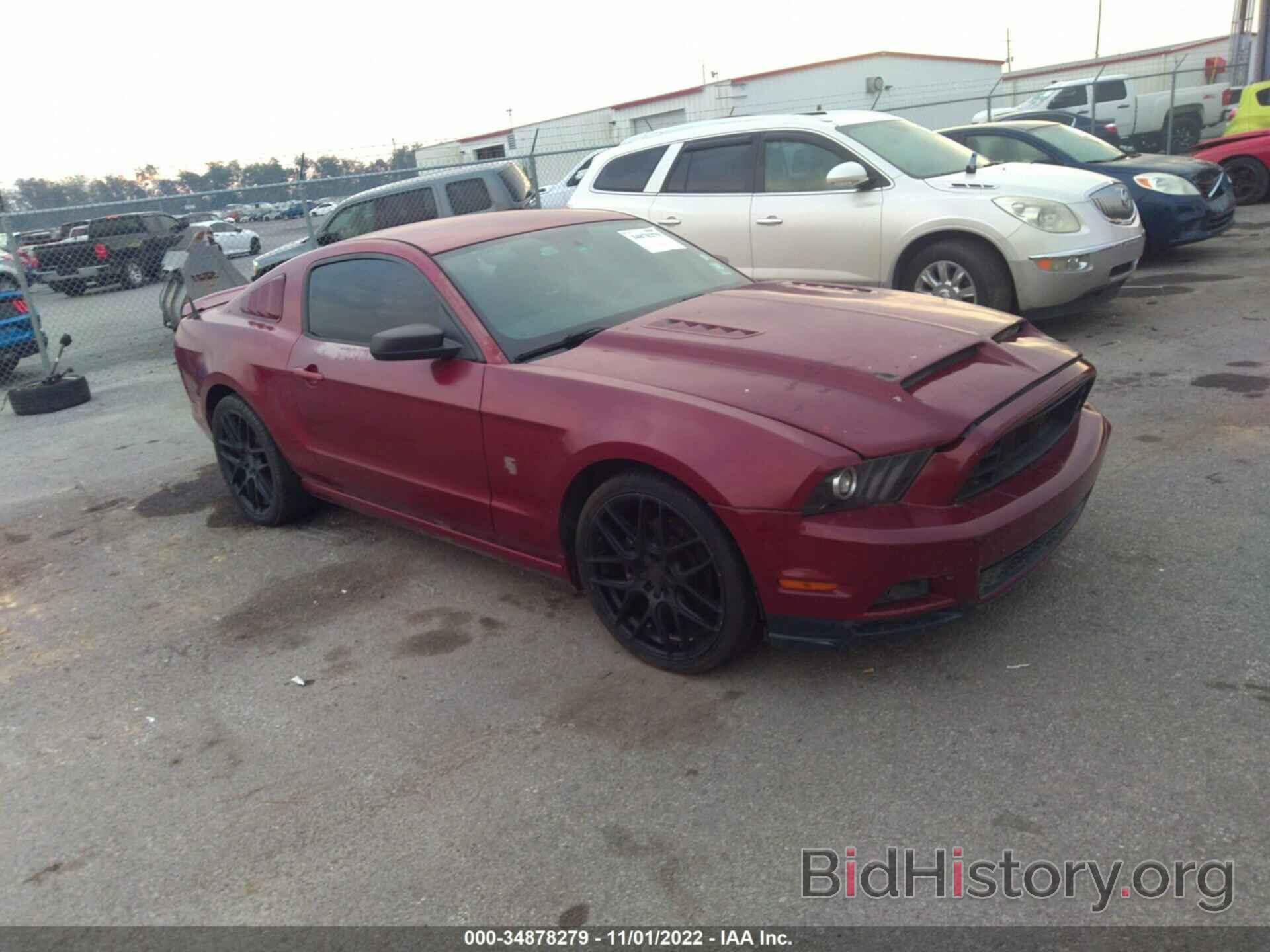 Photo 1ZVBP8AM8E5311381 - FORD MUSTANG 2014