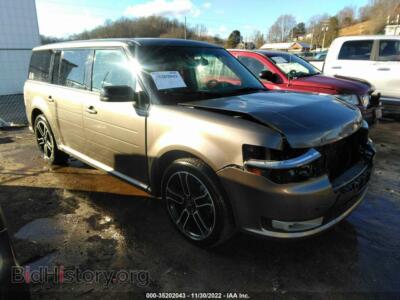 2014 Ford FLEX SEL, коричневый — VIN 2FMGK5C88EBD03231, IAAI