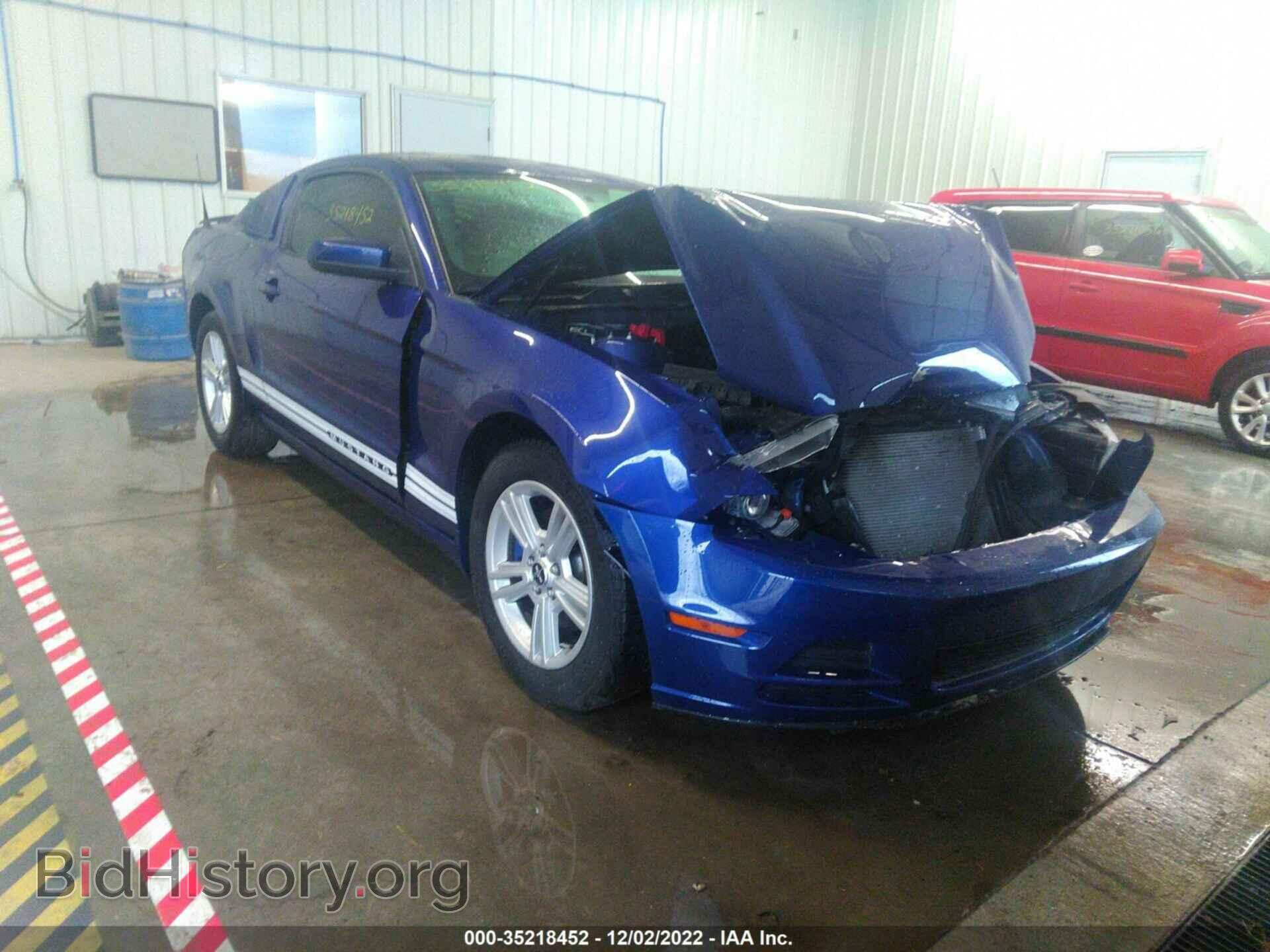 Фотография 1ZVBP8AM0D5254544 - FORD MUSTANG 2013