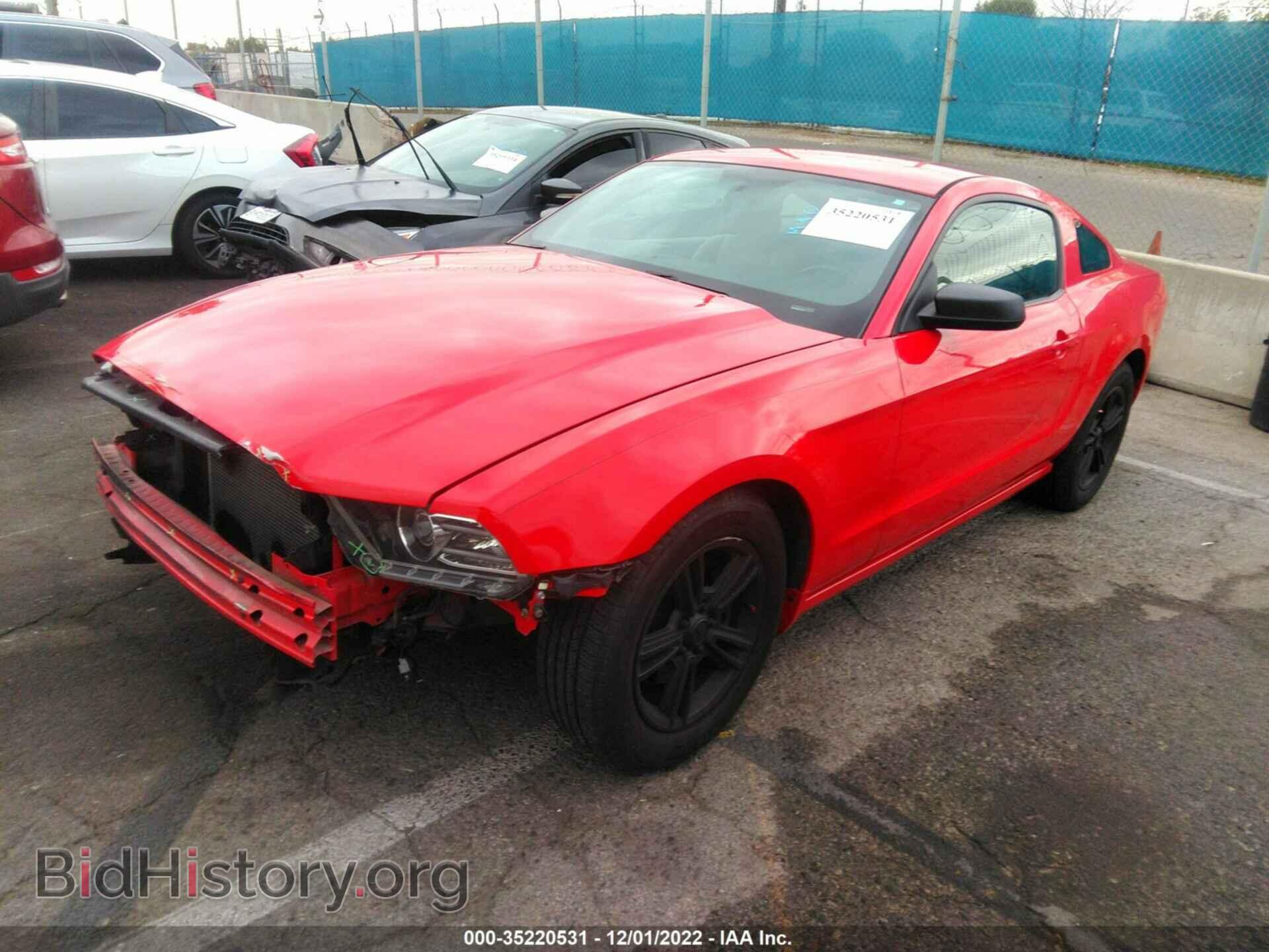 2013 FORD MUSTANG - VIN: 1ZVBP8AM7D5269672 - Фото 2