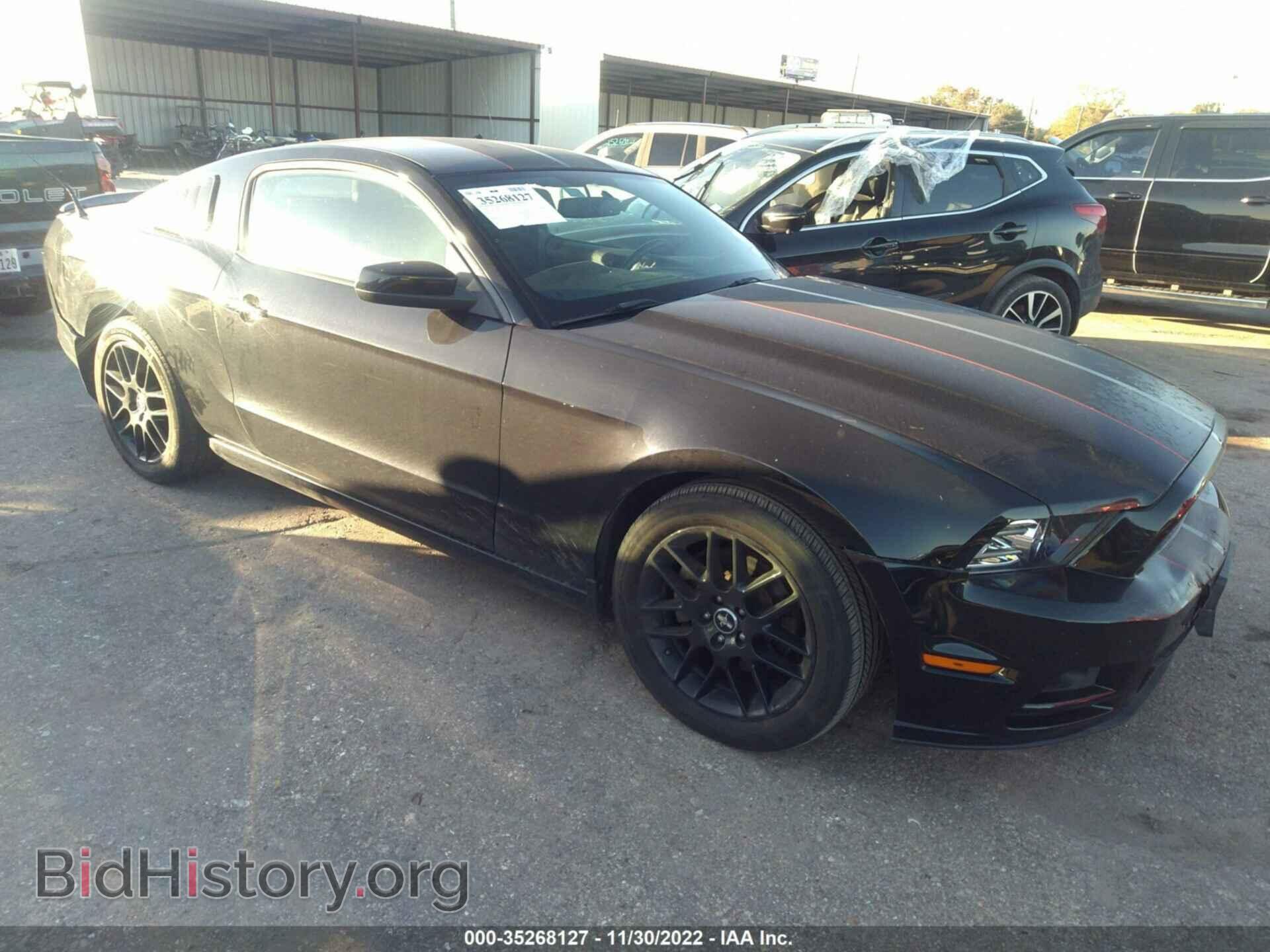 Photo 1ZVBP8AM8E5320758 - FORD MUSTANG 2014
