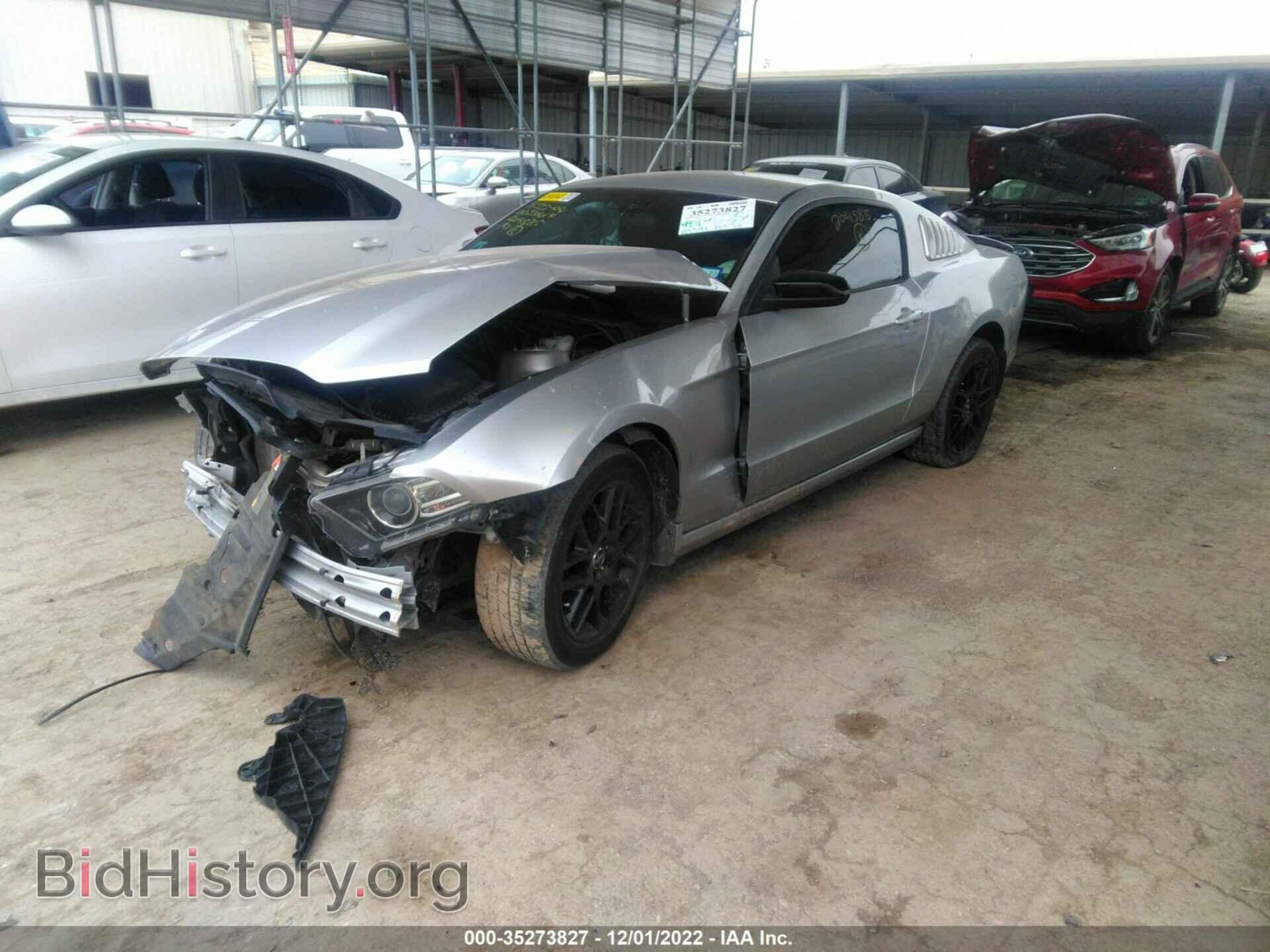 2014 FORD MUSTANG - VIN: 1ZVBP8AM4E5204585 - Фото 2