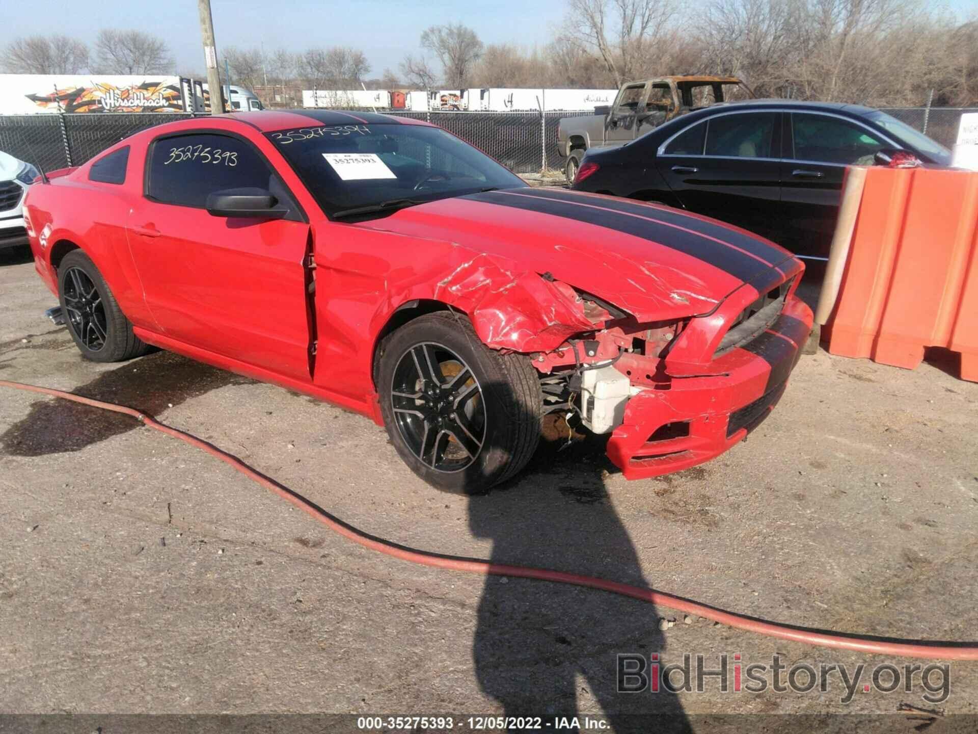 Photo 1ZVBP8AM7D5271373 - FORD MUSTANG 2013