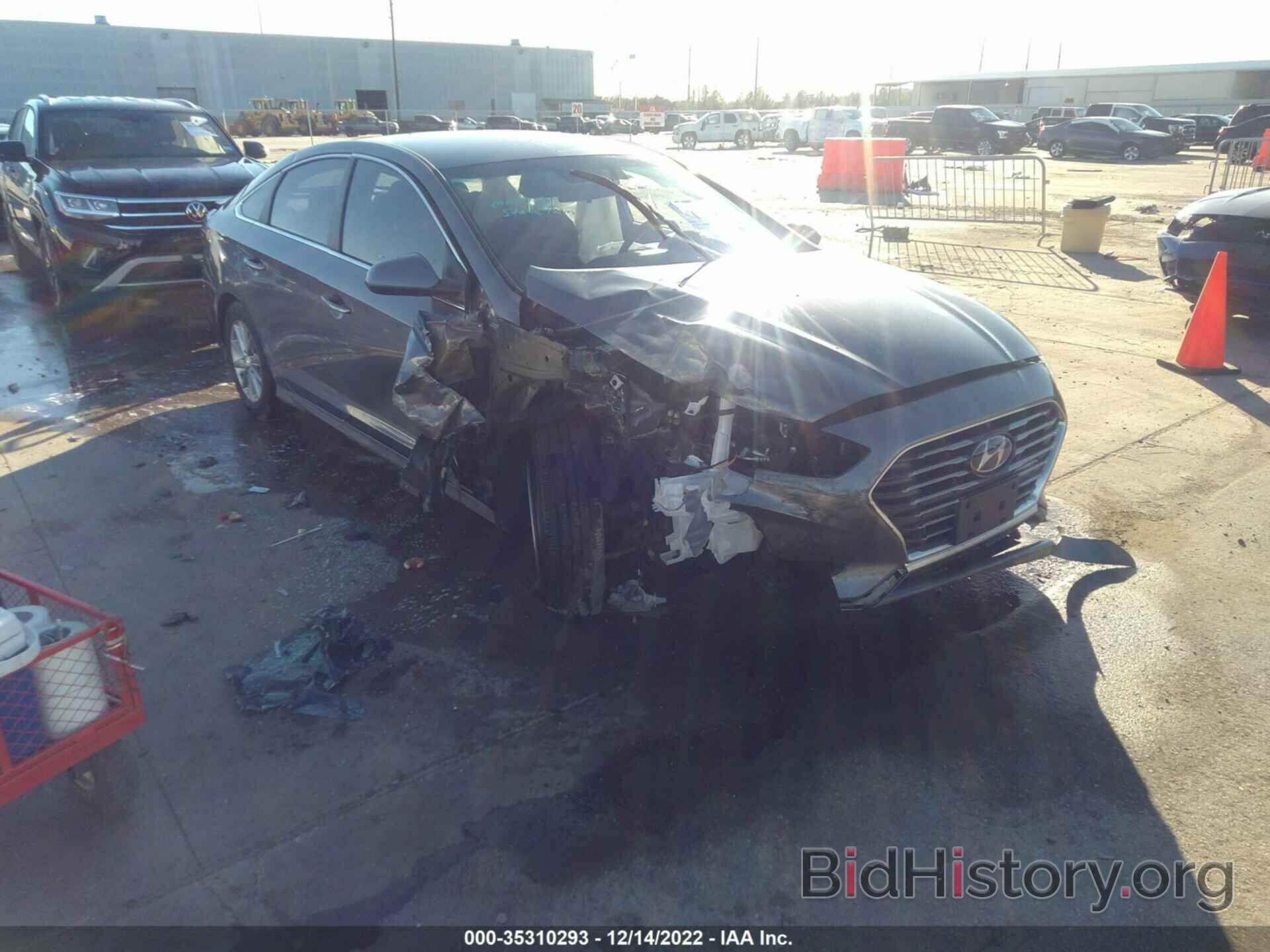 Photo 5NPE24AF3KH762688 - HYUNDAI SONATA 2019