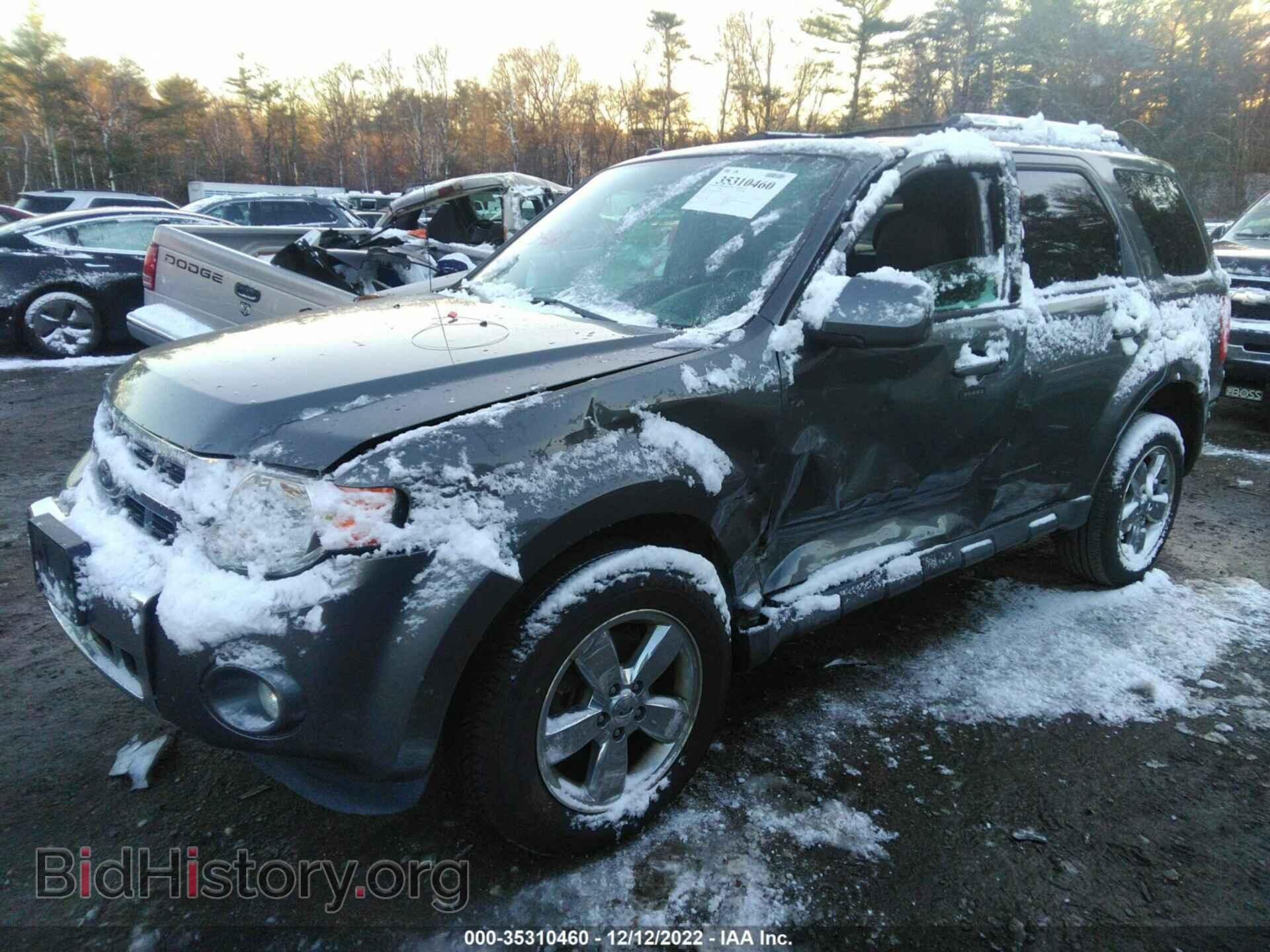 2011 FORD ESCAPE - VIN: 1FMCU9EG3BKC58365 - Фото 2