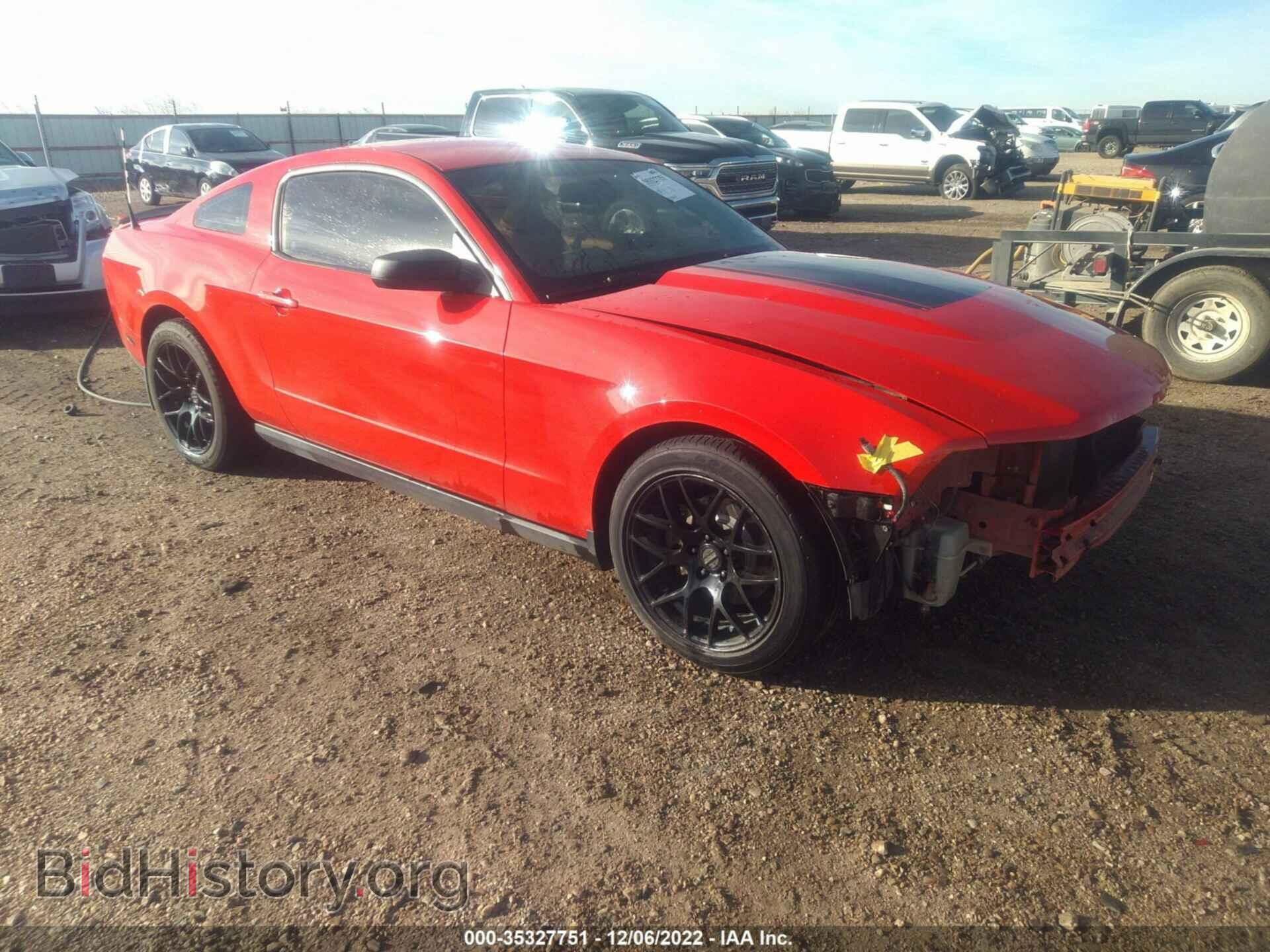 Фотография 1ZVBP8AM2C5228672 - FORD MUSTANG 2012