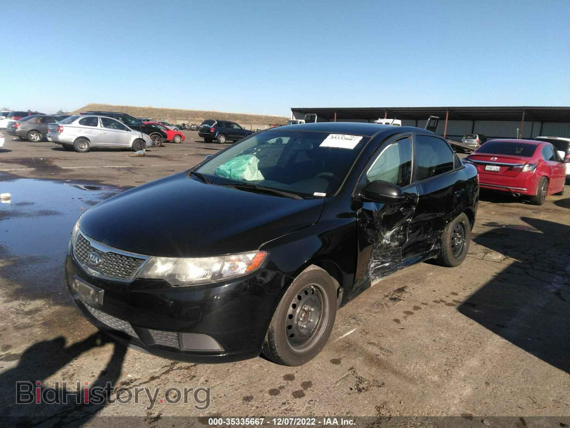 2013 KIA FORTE - VIN: KNAFU4A24D5646198 - Фото 2