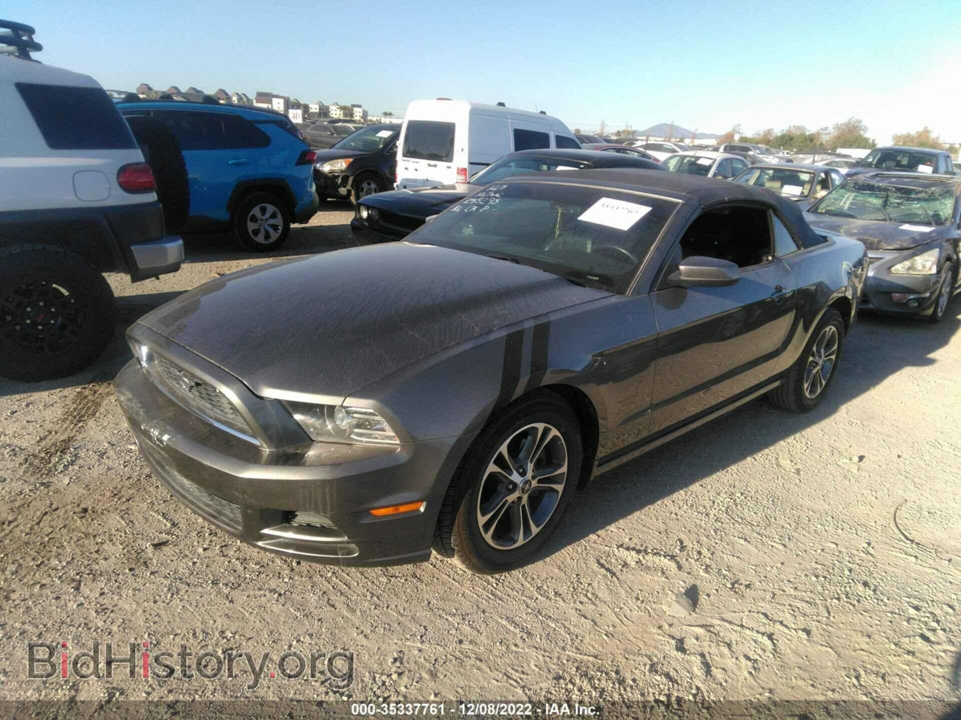 2013 FORD MUSTANG - VIN: 1ZVBP8EM5D5248295 - Photo 2