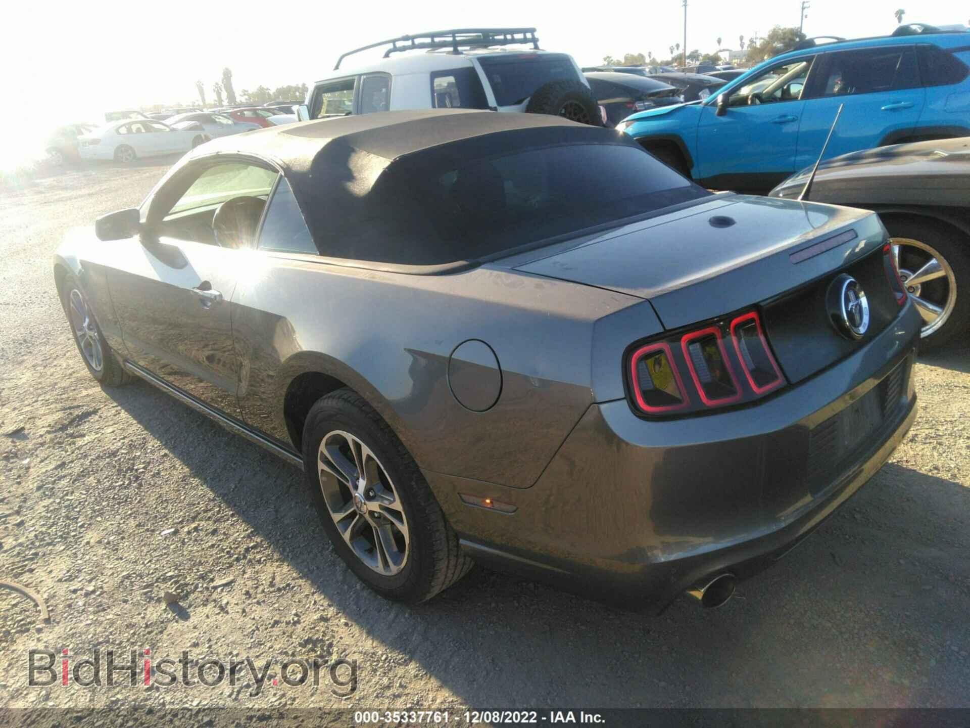 2013 FORD MUSTANG - VIN: 1ZVBP8EM5D5248295 - Photo 3